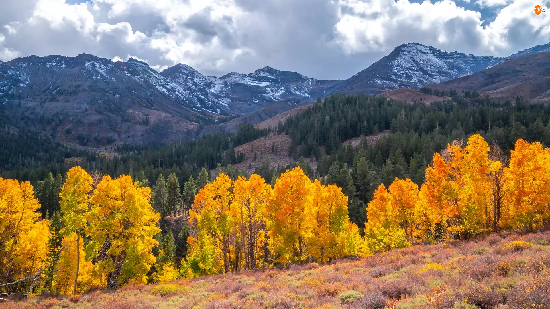 Drzewa, Stany Zjednoczone, Sonora Pass, Chmury, Kalifornia, Góry, Jesień, Eastern Sierra