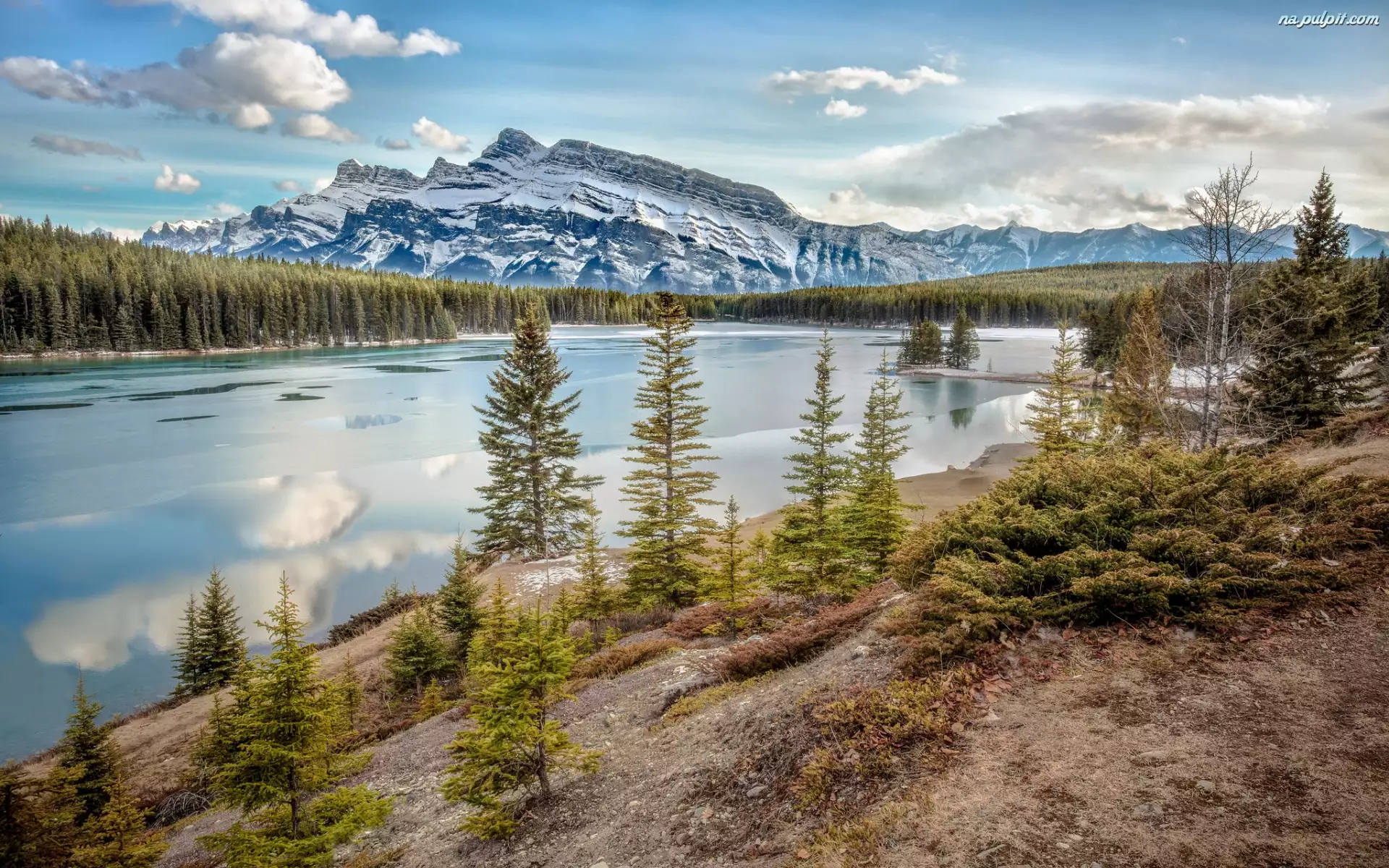 Kanada, Two Jack Lake, Park Narodowy Banff, Jezioro, Góra, Góry, Lasy, Mount Rundle, Drzewa, Prowincja Alberta