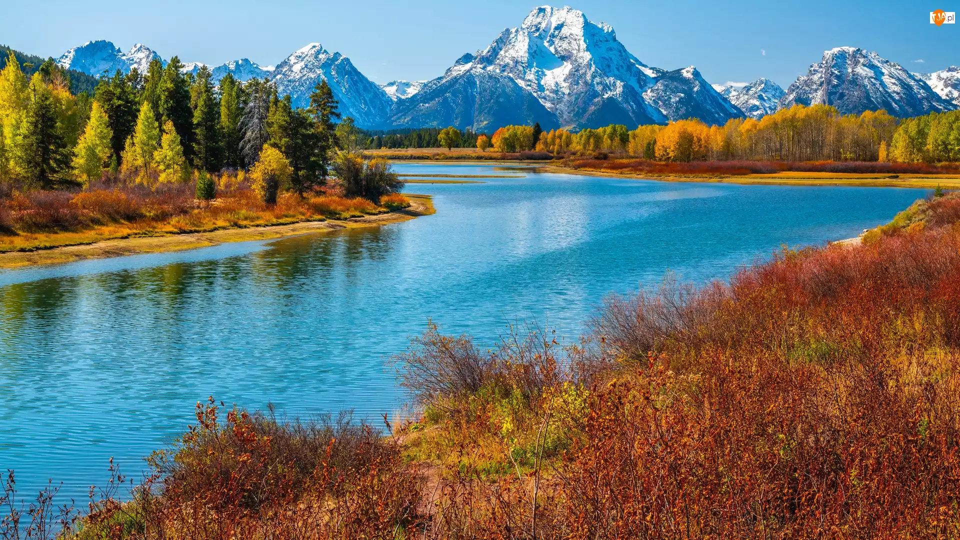 Stany Zjednoczone, Trawy, Jesień, Drzewa, Rzeka, Park Narodowy Grand Teton, Góry, Snake River, Teton Range, Stan Wyoming
