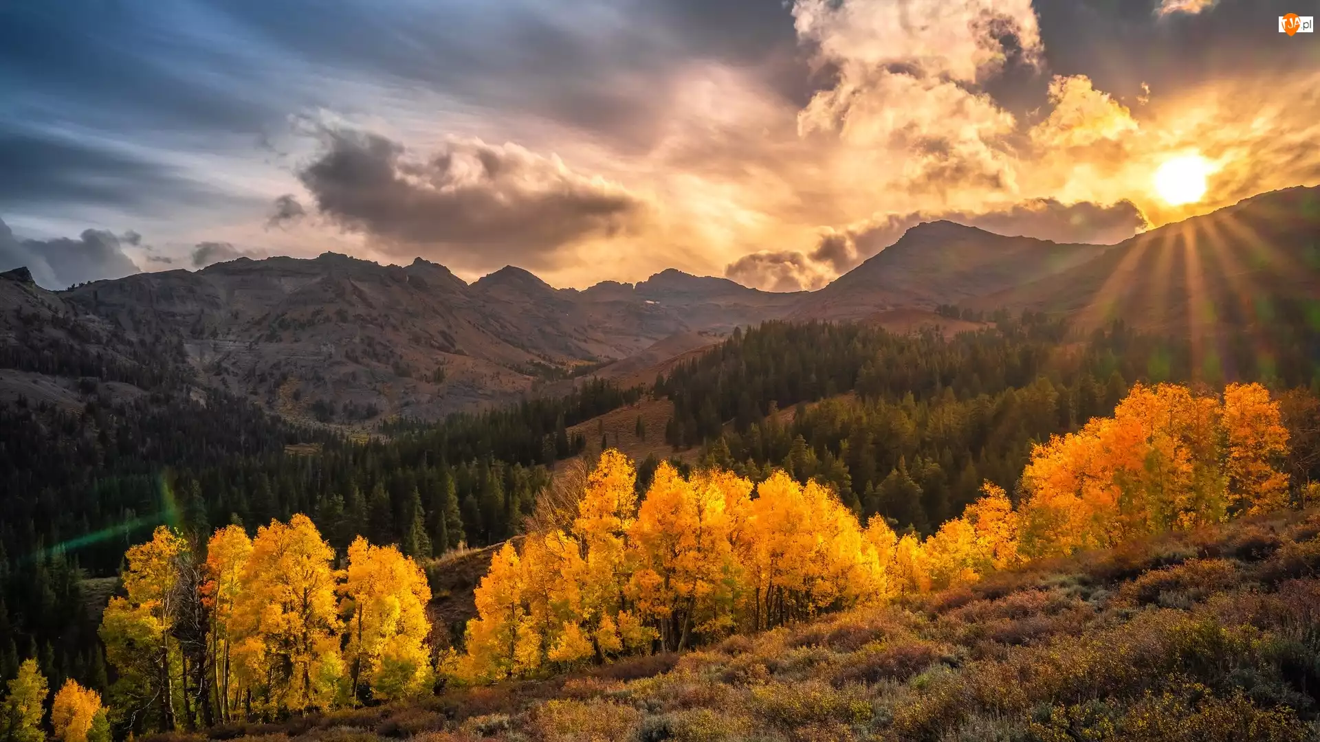 Promienie słońca, Chmury, Drzewa, Góry, Kalifornia, Stany Zjednoczone, Sonora Pass, Region Eastern Sierra, Jesień, Słońce