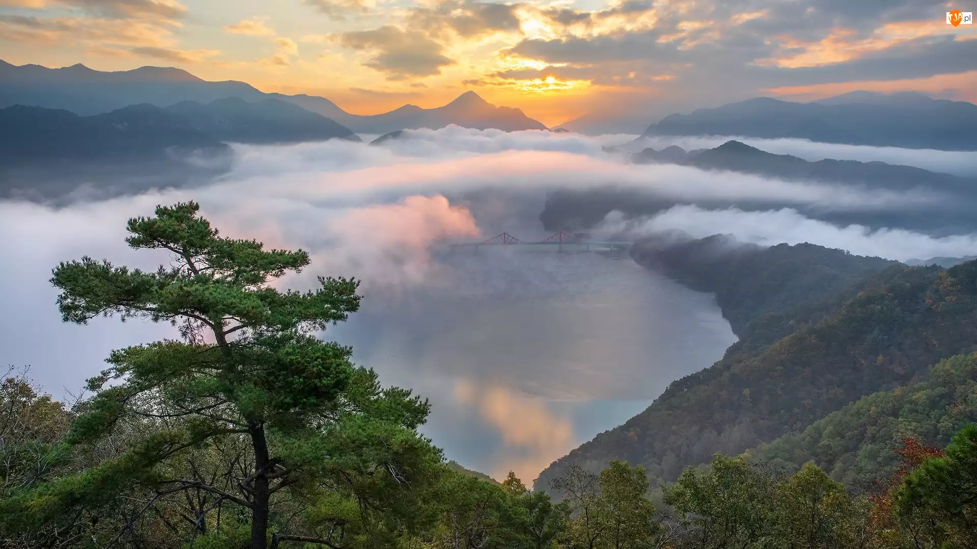 Korea, Rzeka, Promienie słońca, Sosna, Chmury, Most, Mgła, Góry, Drzewo