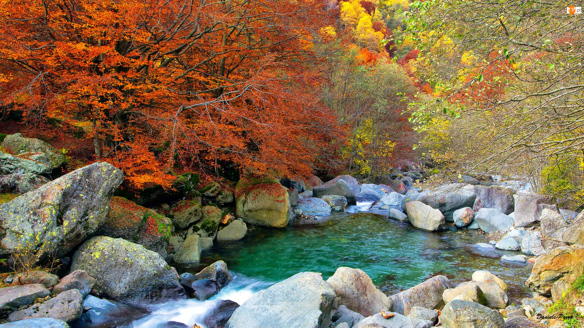 Las, Drzewa, Rzeka, Jesień, Kamienie, Liście, Kolorowe