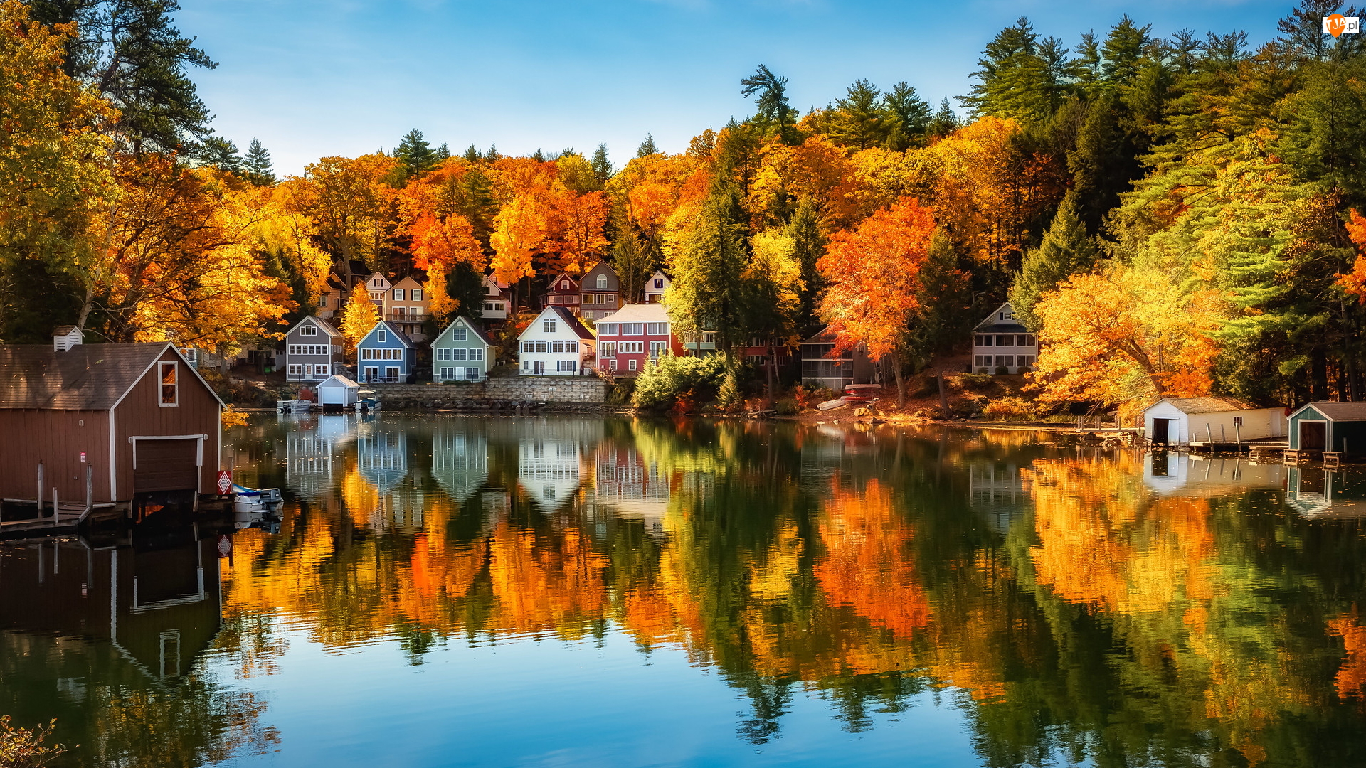 Alton, Jesień, Domy, Stan New Hampshire, Las, Jezioro Winnipesaukee, Stany Zjednoczone, Drzewa