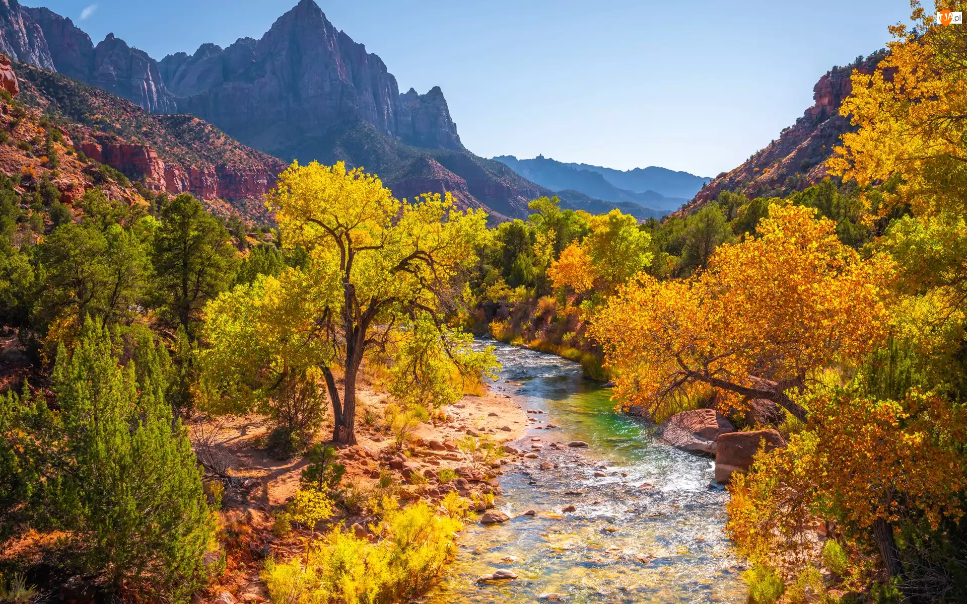 Jesień, Park Narodowy Zion, Kamienie, Stan Utah, Góry Watchman, Drzewa, Stany Zjednoczone, Rzeka Virgin River