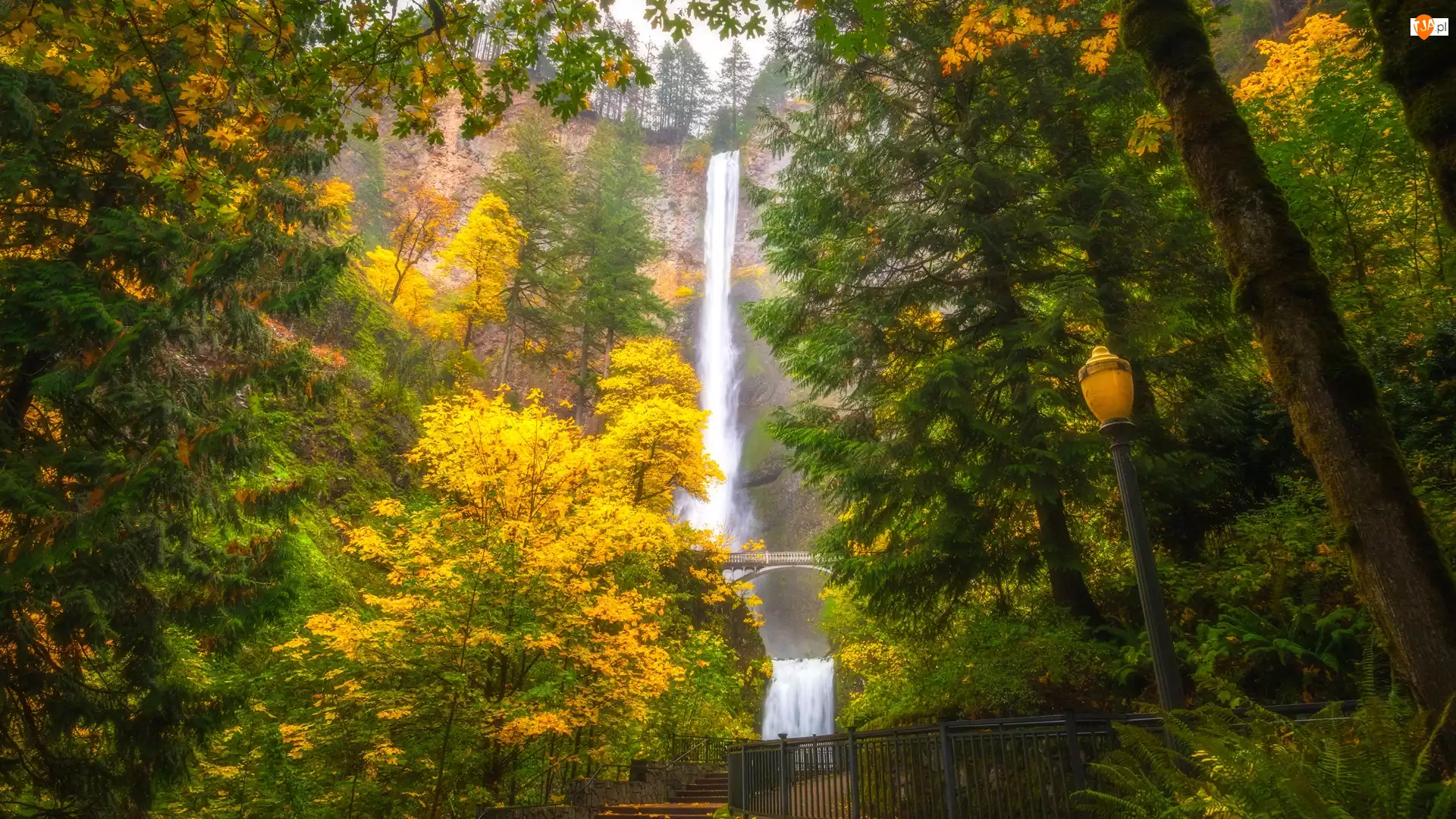 Jesień, Wodospad, Drzewa, Stan Oregon, Multnomah Falls, Latarnia, Stany Zjednoczone, Most