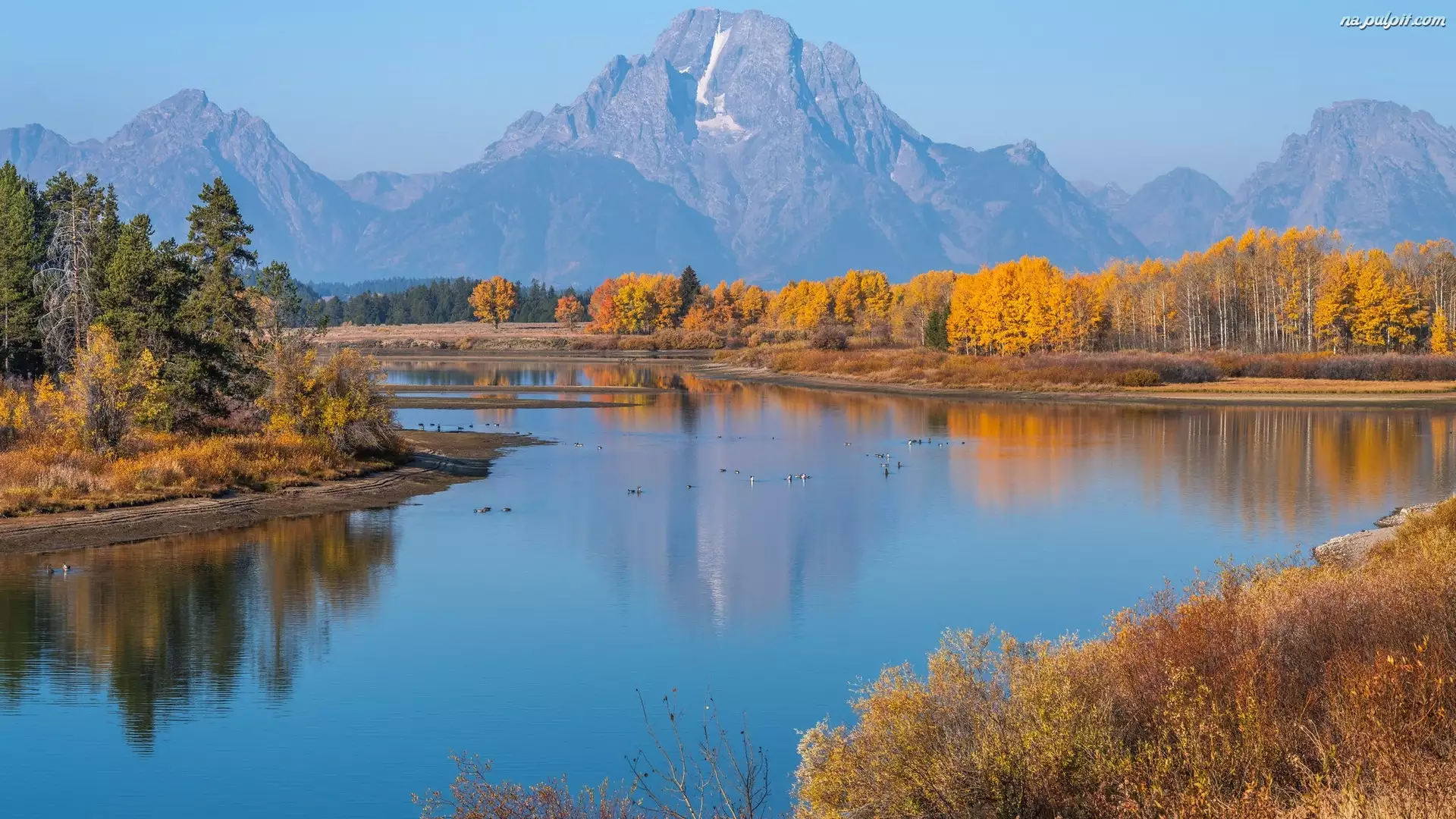 Stany Zjednoczone, Rzeka, Stan Wyoming, Drzewa, Jesień, Snake River, Góry, Park Narodowy Grand Teton, Teton Range