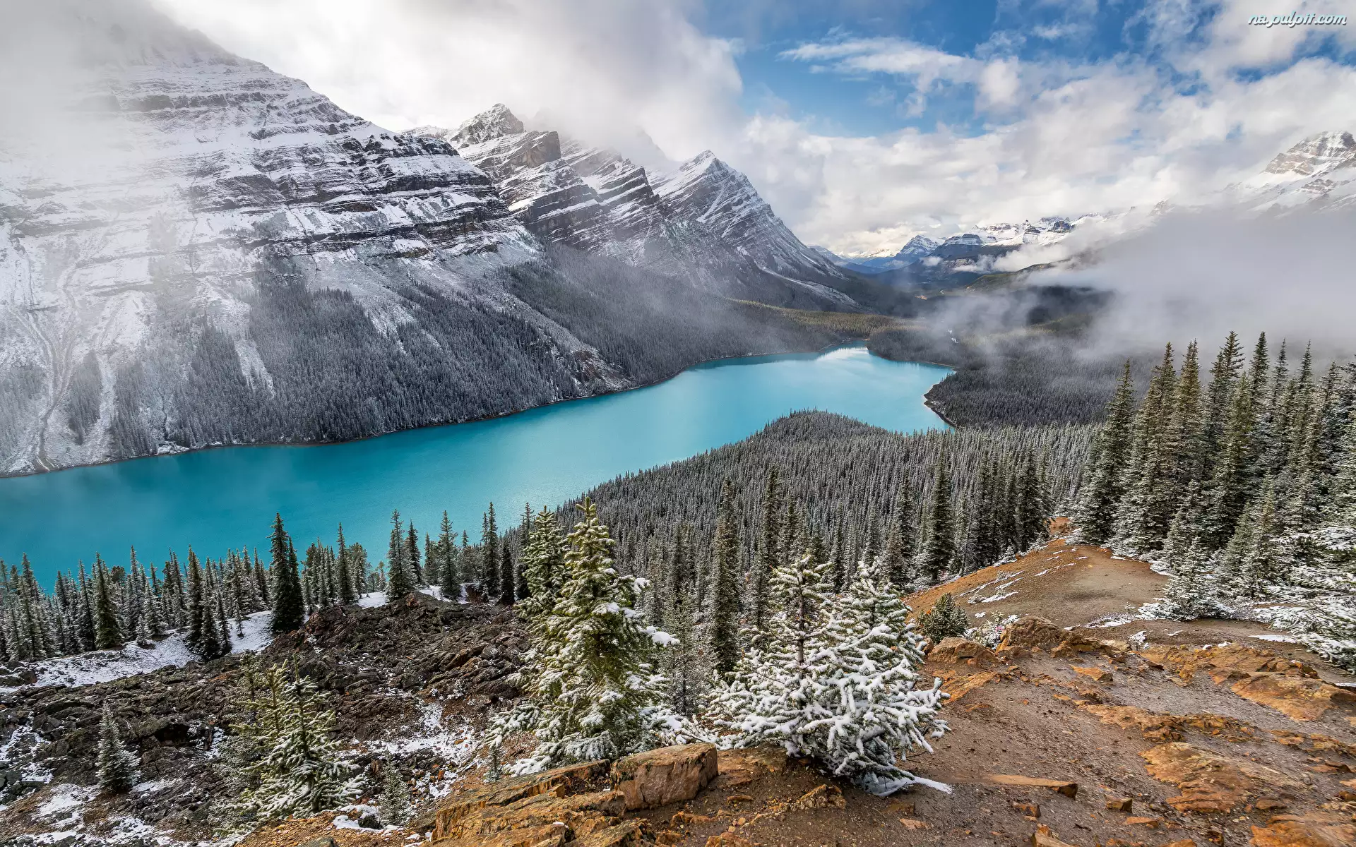 Kanada, Drzewa, Śnieg, Chmury, Park Narodowy Banff, Zima, Jezioro, Góry, Peyto Lake, Prowincja Alberta