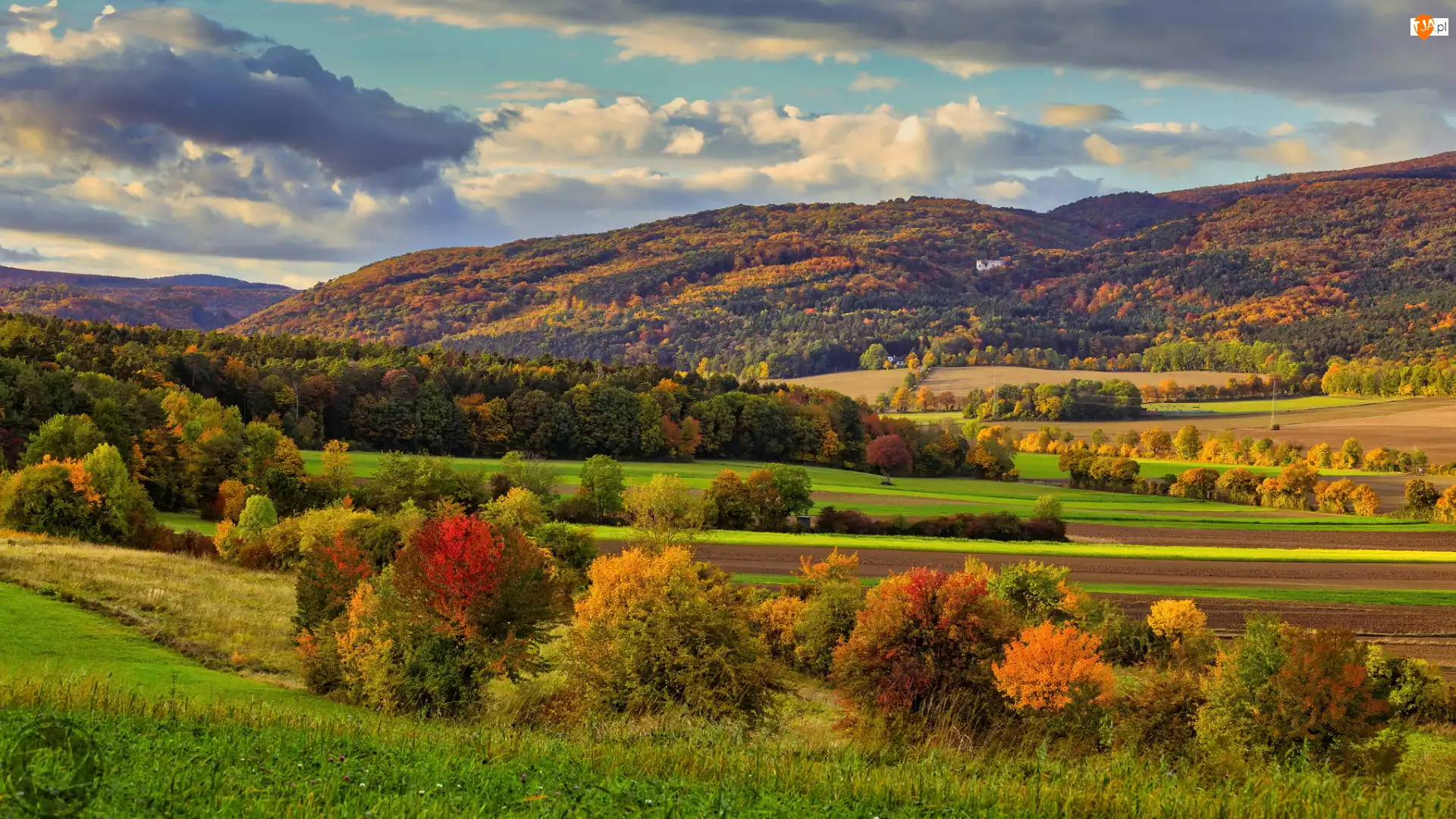 Wzgórza, Drzewa, Góry, Jesień, Kolorowe