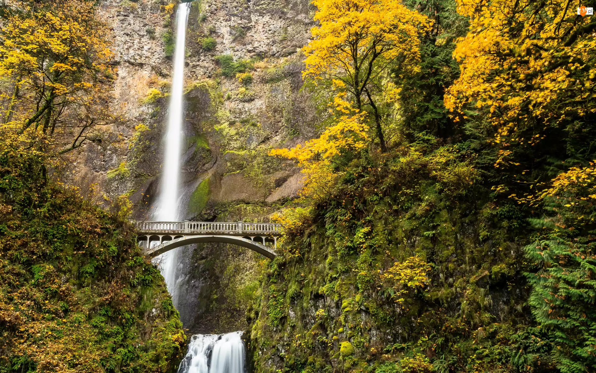 Jesień, Wodospad, Drzewa, Stan Oregon, Multnomah Falls, Las, Stany Zjednoczone, Most