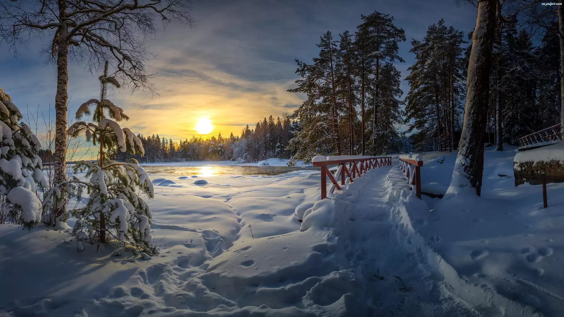 Wschód słońca, Zima, Rzeka Langinkoski, Kotka, Las, Mostek, Finlandia, Drzewa