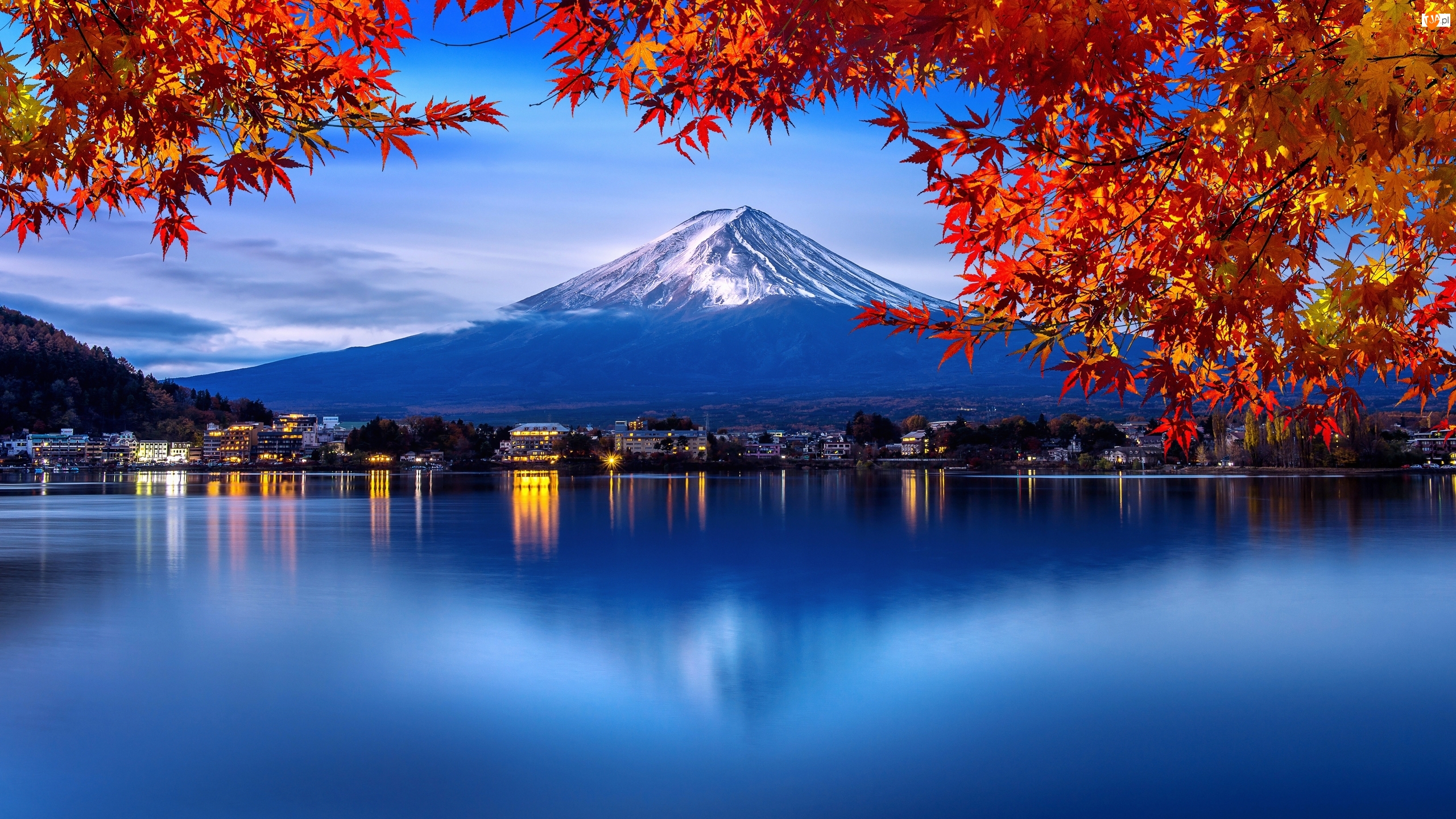 Drzewa, Japonia, Jezioro, Klon, Góra Fudżi, Lake Kawaguchi, Liście, Stratowulkan