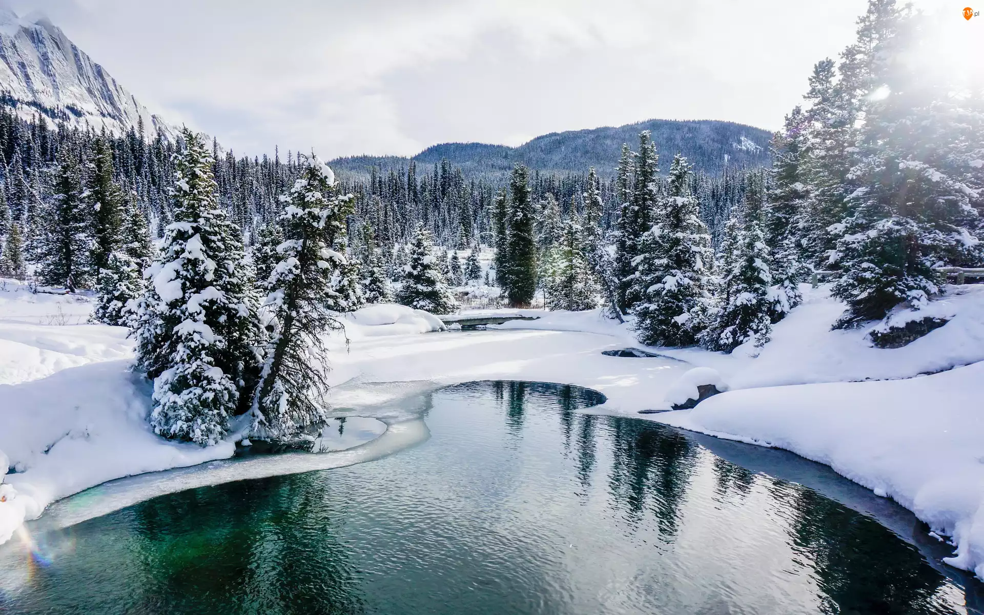Zima, Góry, Drzewa, Johnston Creek, Prowincja Alberta, Kanada, Rezerwat Ink Pots, Park Narodowy Banff, Rzeka, Lasy