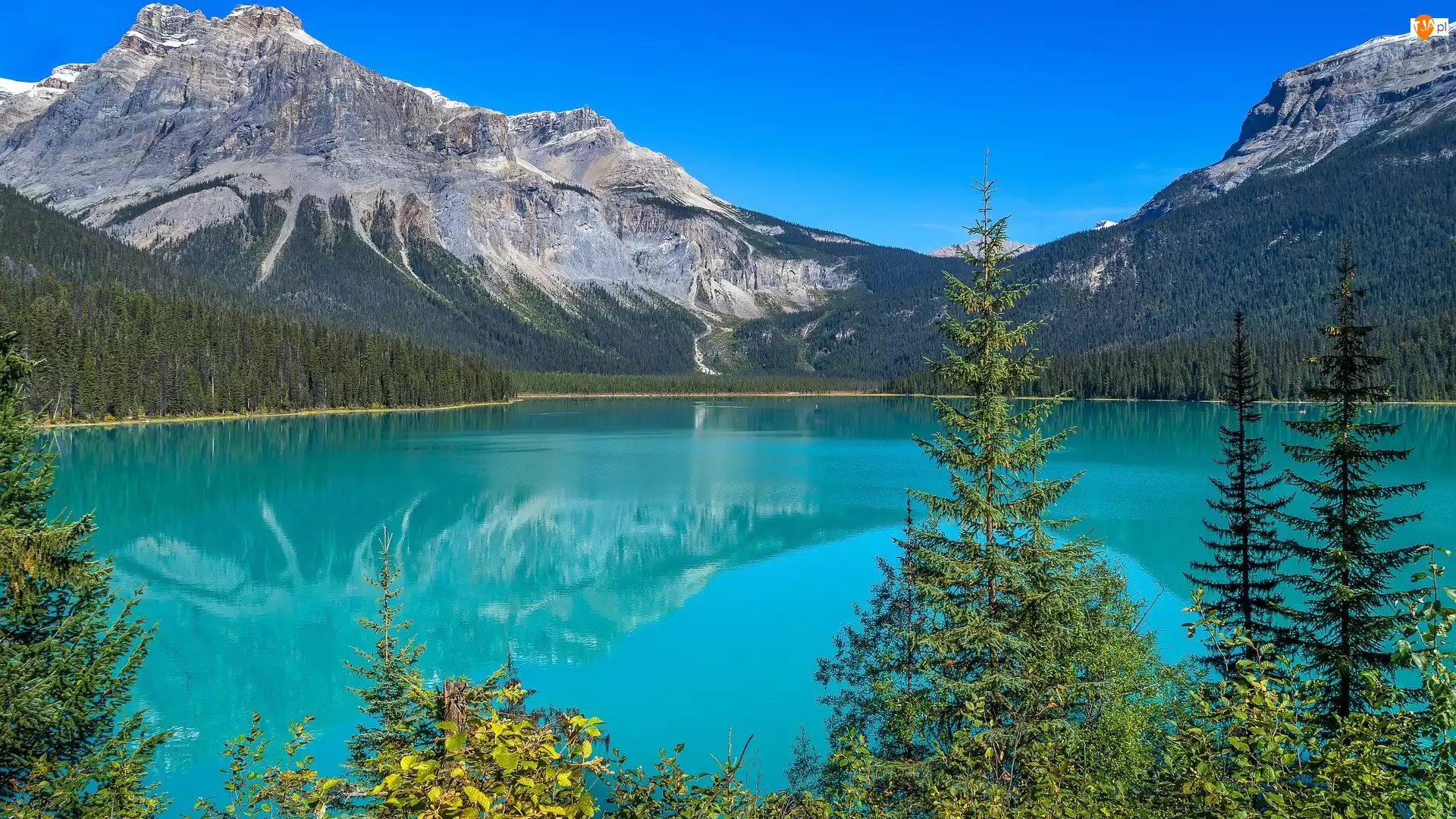 Jezioro, Emerald Lake, Kanada, Góry, Kolumbia Brytyjska, Park Narodowy Yoho, Świerki