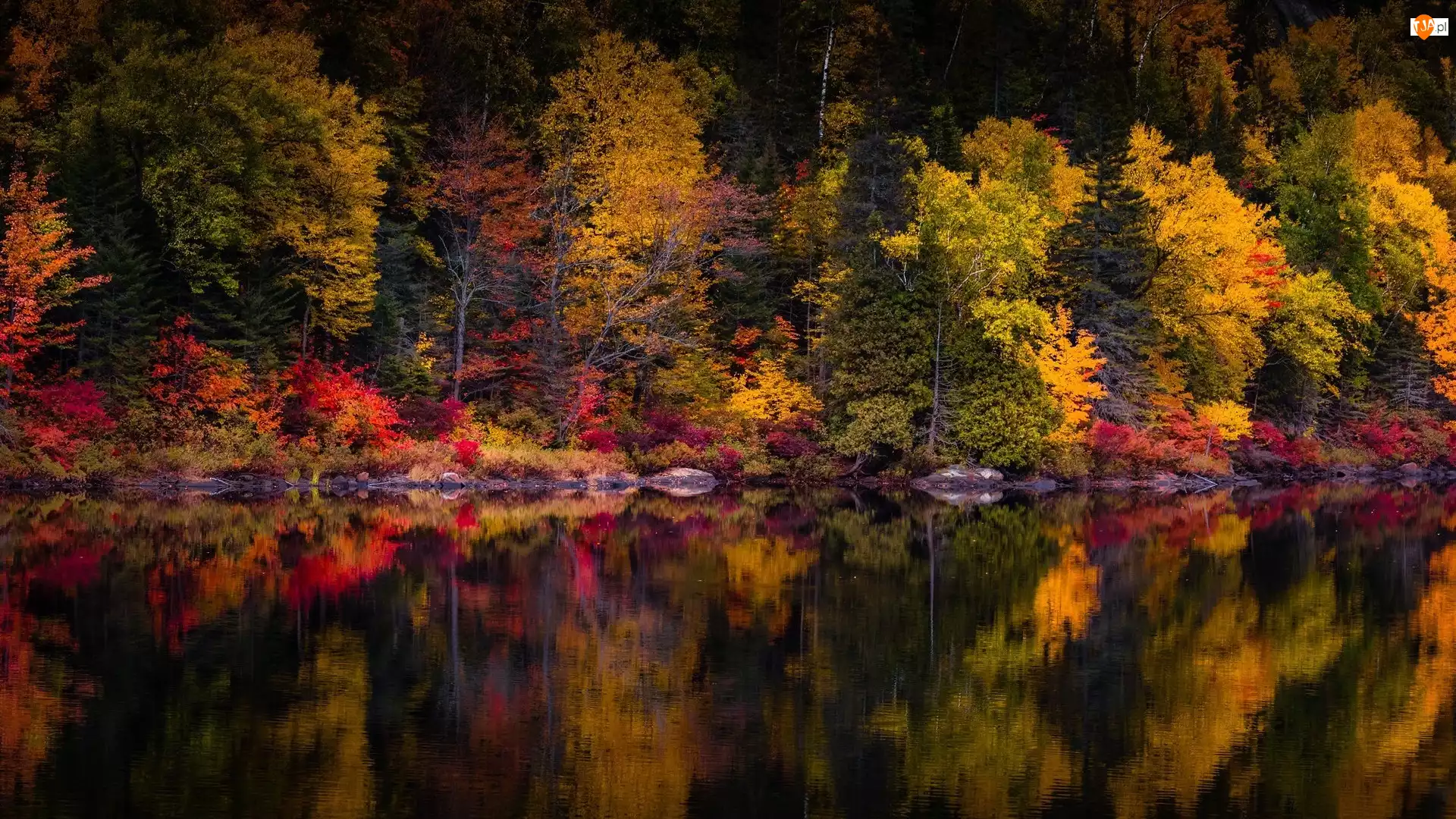 Kolorowe, Odbicie, Jezioro, Jesień, Drzewa