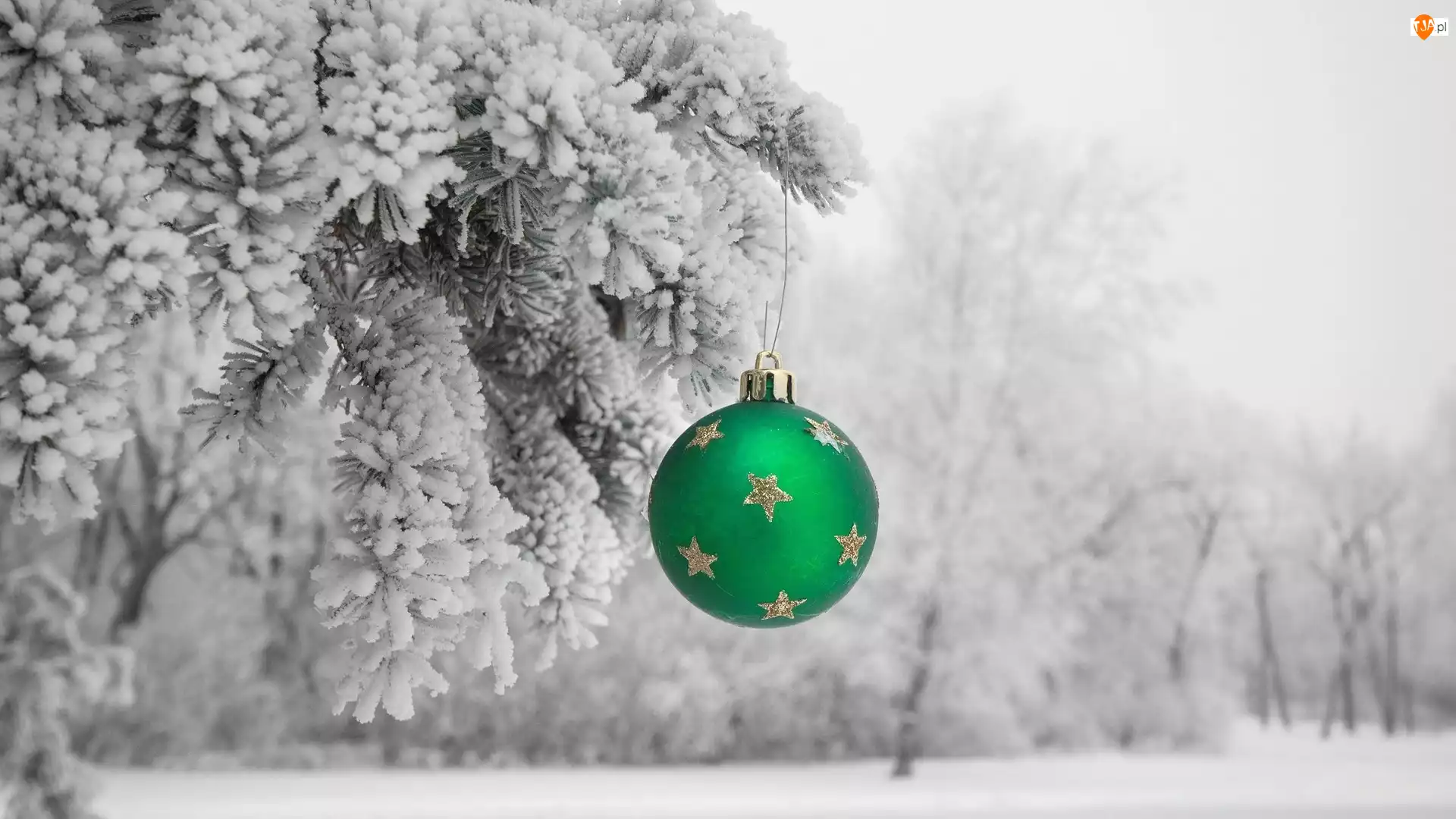 Zielona, Boże Narodzenie, Śnieg, Drzewa, Bombka
