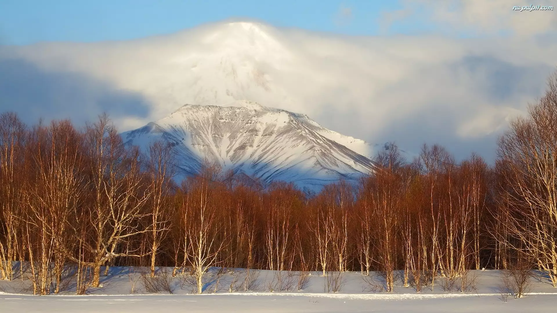 Śnieg, Drzewa, Rosja, Zima, Kamczatka, Awaczyńska Sopka, Wulkan