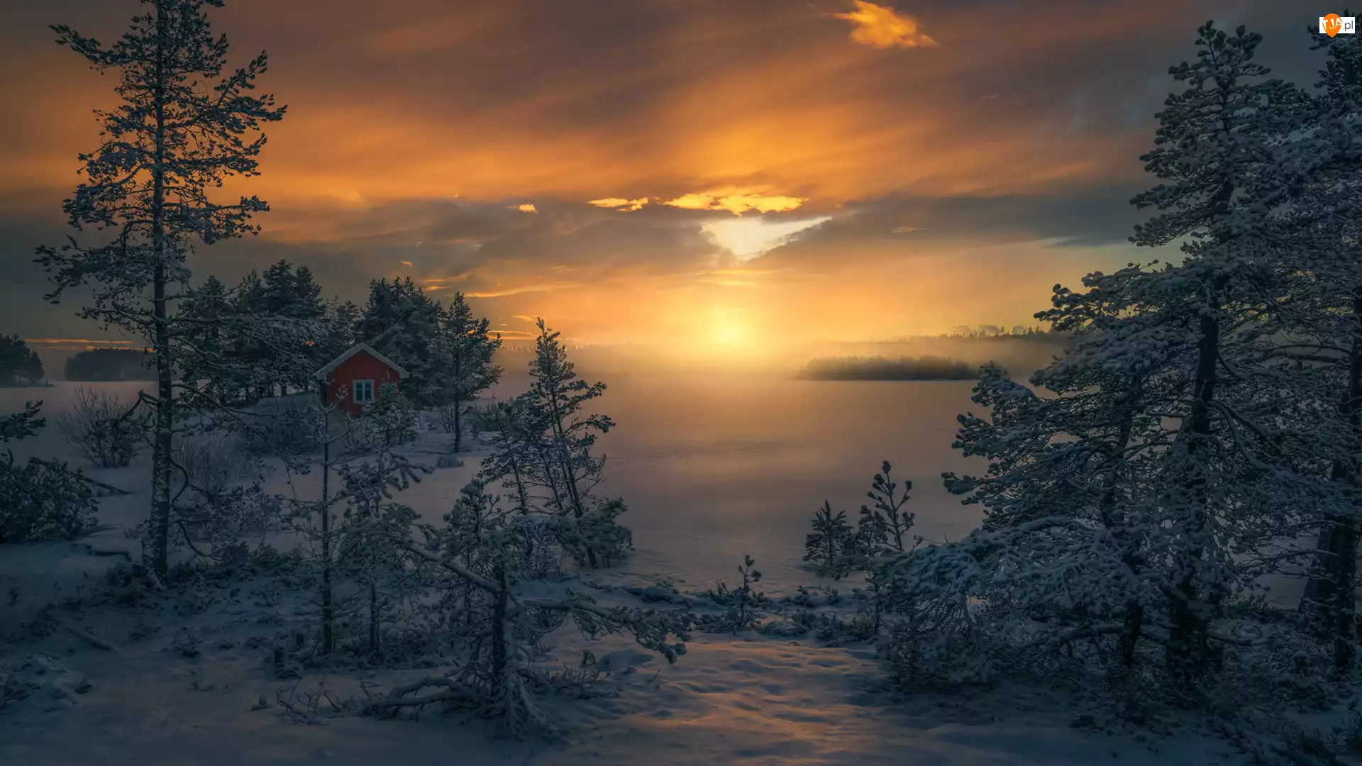 Norwegia, Drzewa, Ringerike, Wschód słońca, Mgła, Dom, Zaśnieżone, Zima, Jezioro
