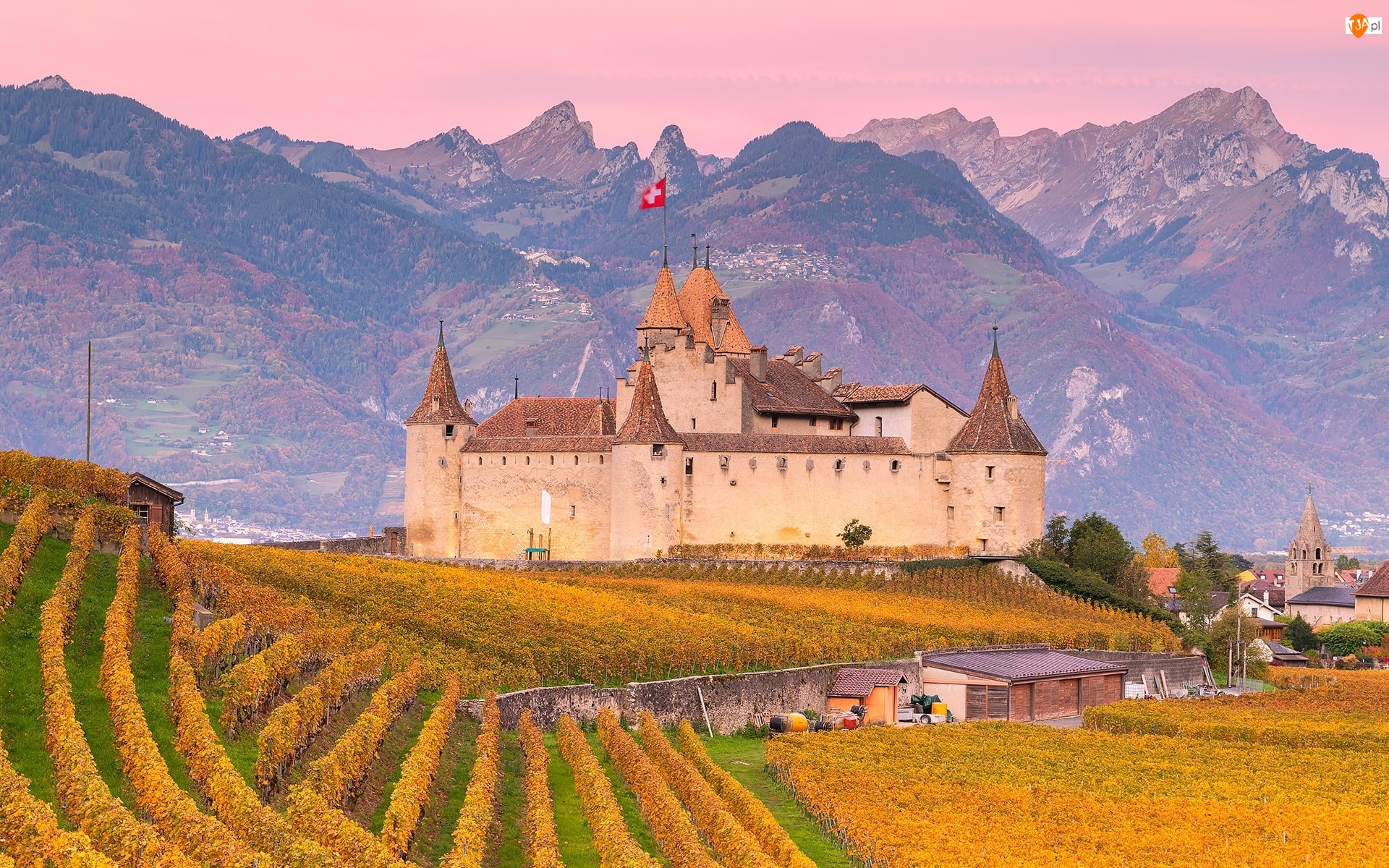 Region Chablais Vaudois, Góry, Winnice, Szwajcaria, Plantacja, Aigle Castle, Zamek