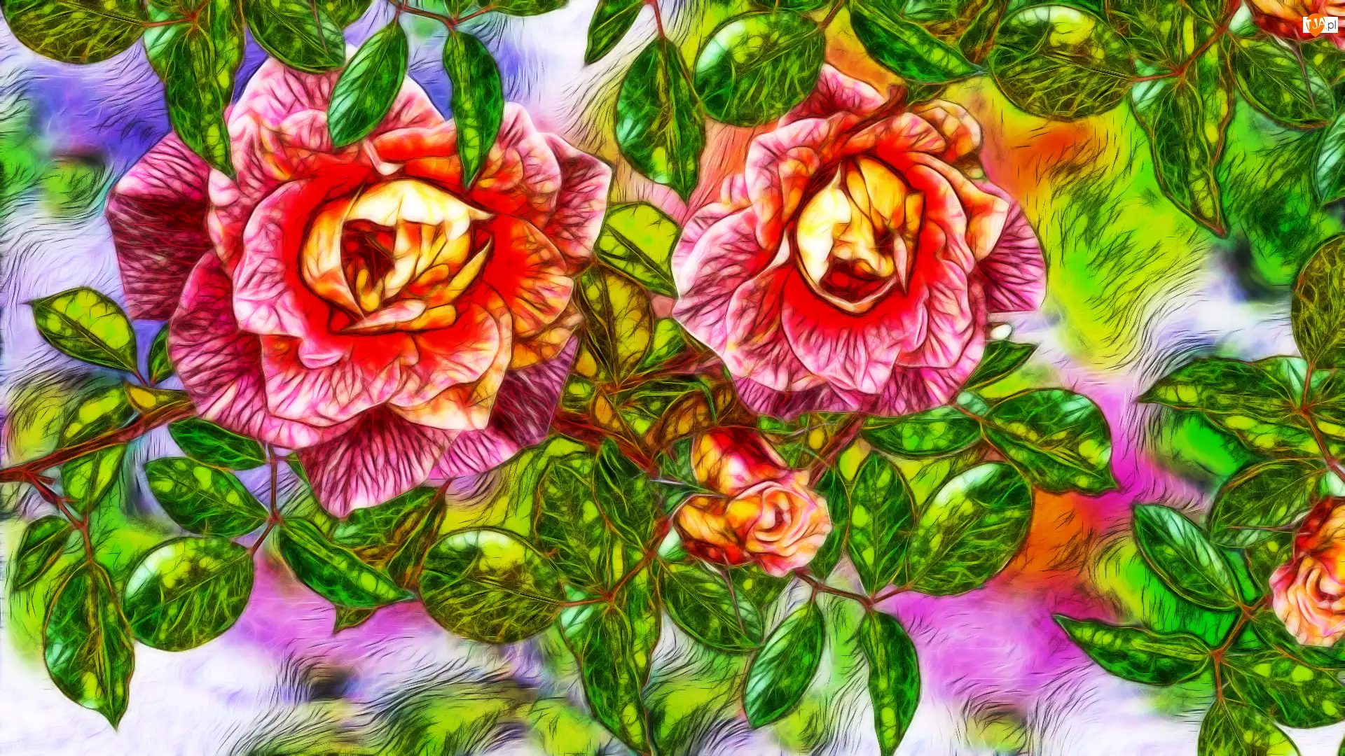 Fractalius, Kwiaty, Róże, Grafika