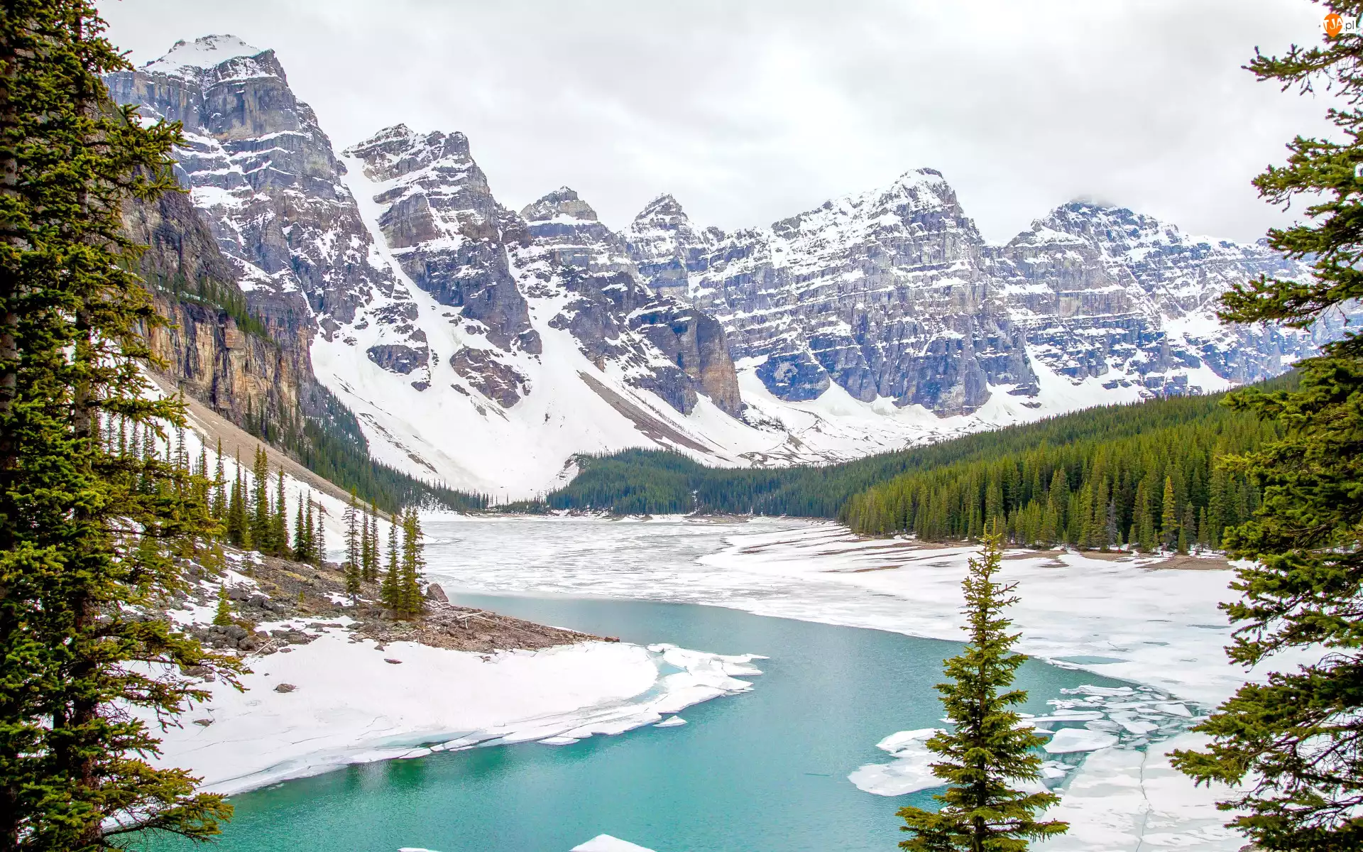 Kanada, Zima, Alberta, Drzewa, Śnieg, Jezioro, Moraine Lake, Park Narodowy Banff, Góry Skaliste