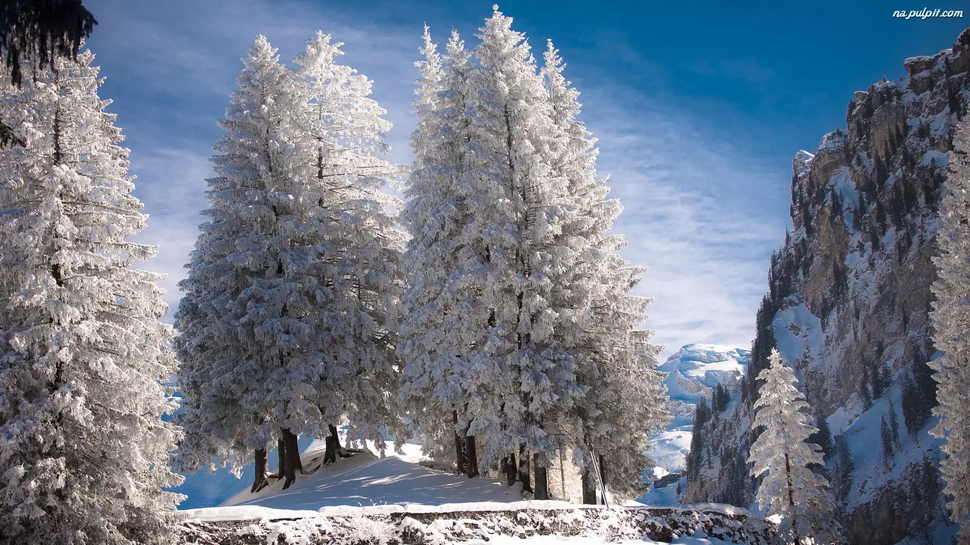 Drzewa, Zima, Śnieg, Skały