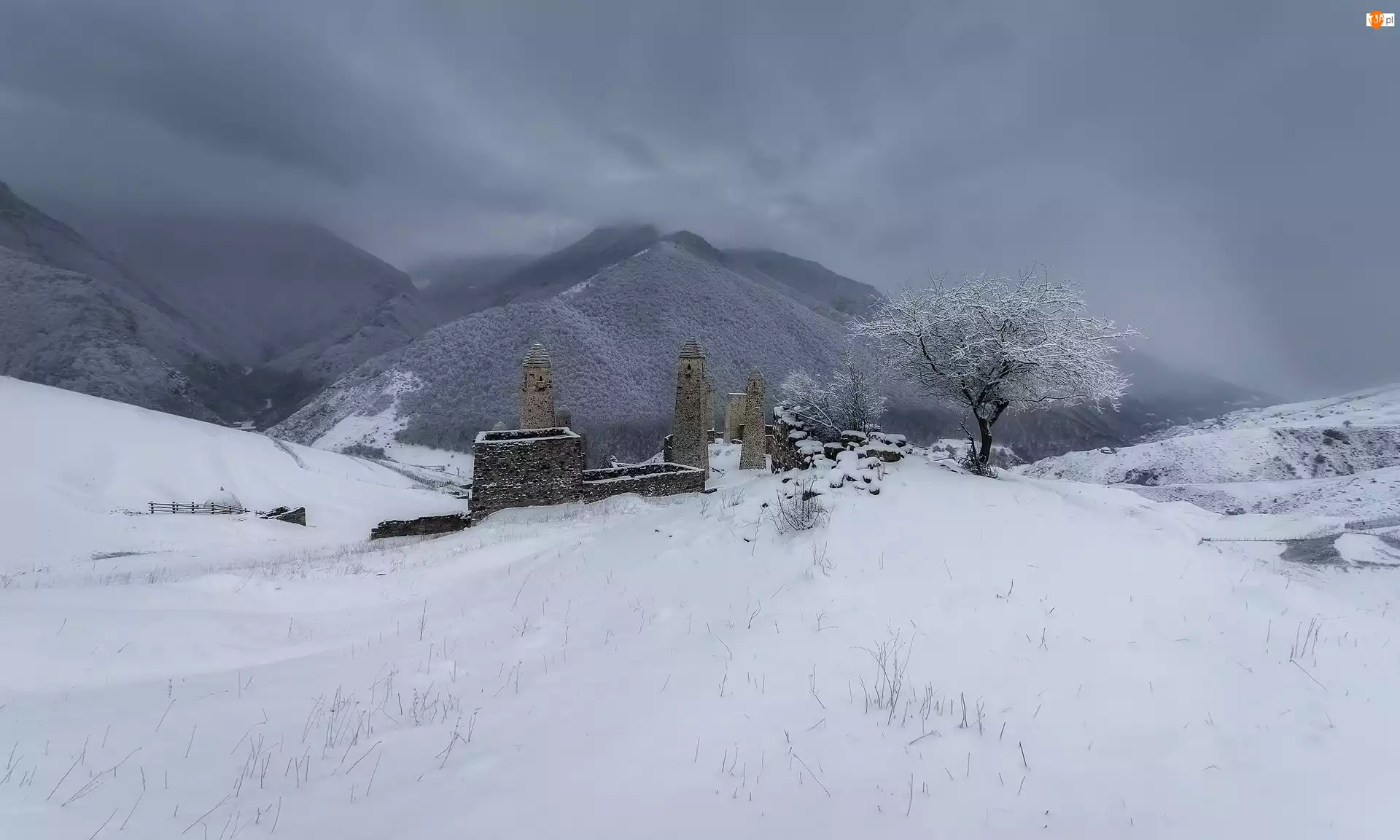 Rosja, Drzewa, Erzi, Drzewo, Góry, Zima, Ruiny, Kaukaz, Wieże obronne, Republika Inguszetii