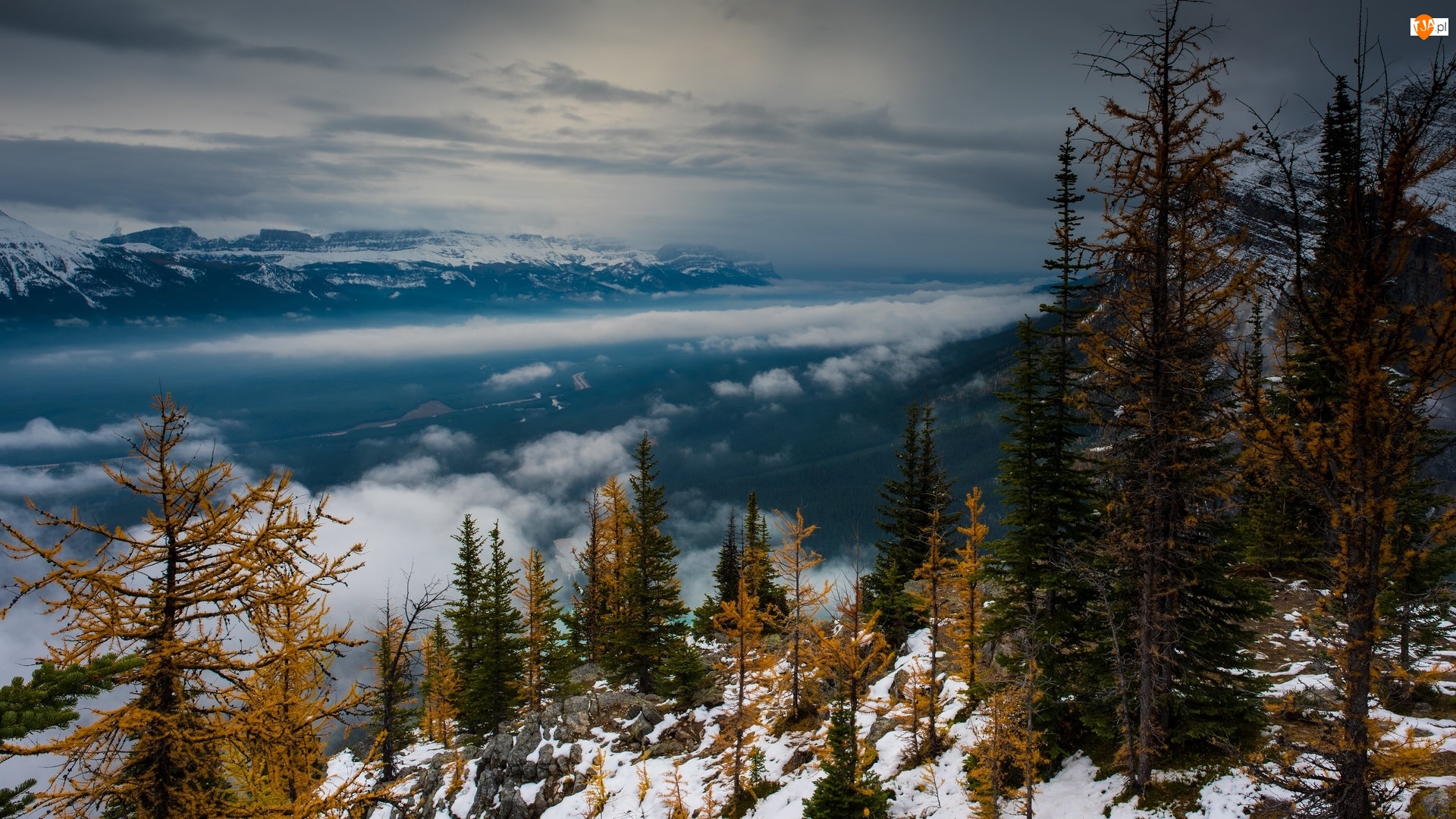Mgła, Śnieg, Dolina, Góry, Drzewa