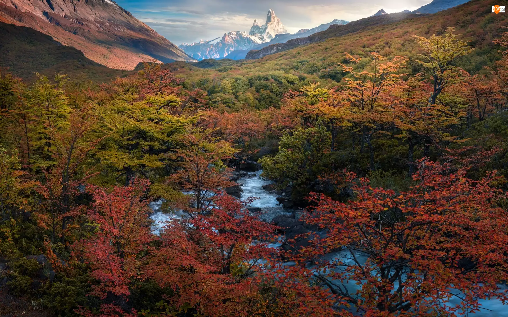 Argentyna, Góry Andy, Patagonia, Drzewa, Rzeka, Góra, Fitz Roy, Jesień, Park Narodowy Los Glaciares