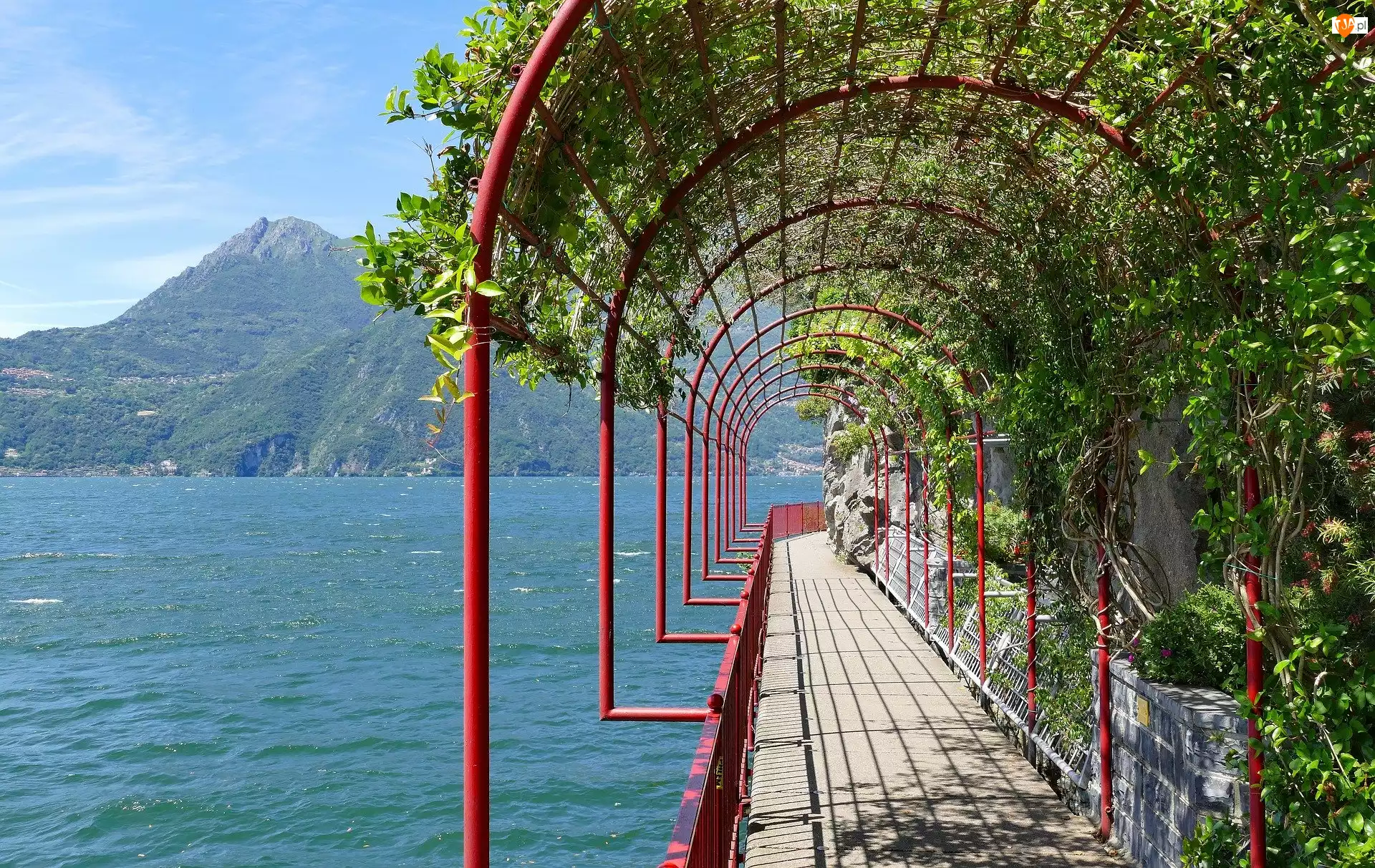 Jezioro Como, Drzewa, Varenna, Włochy, Taras spacerowy