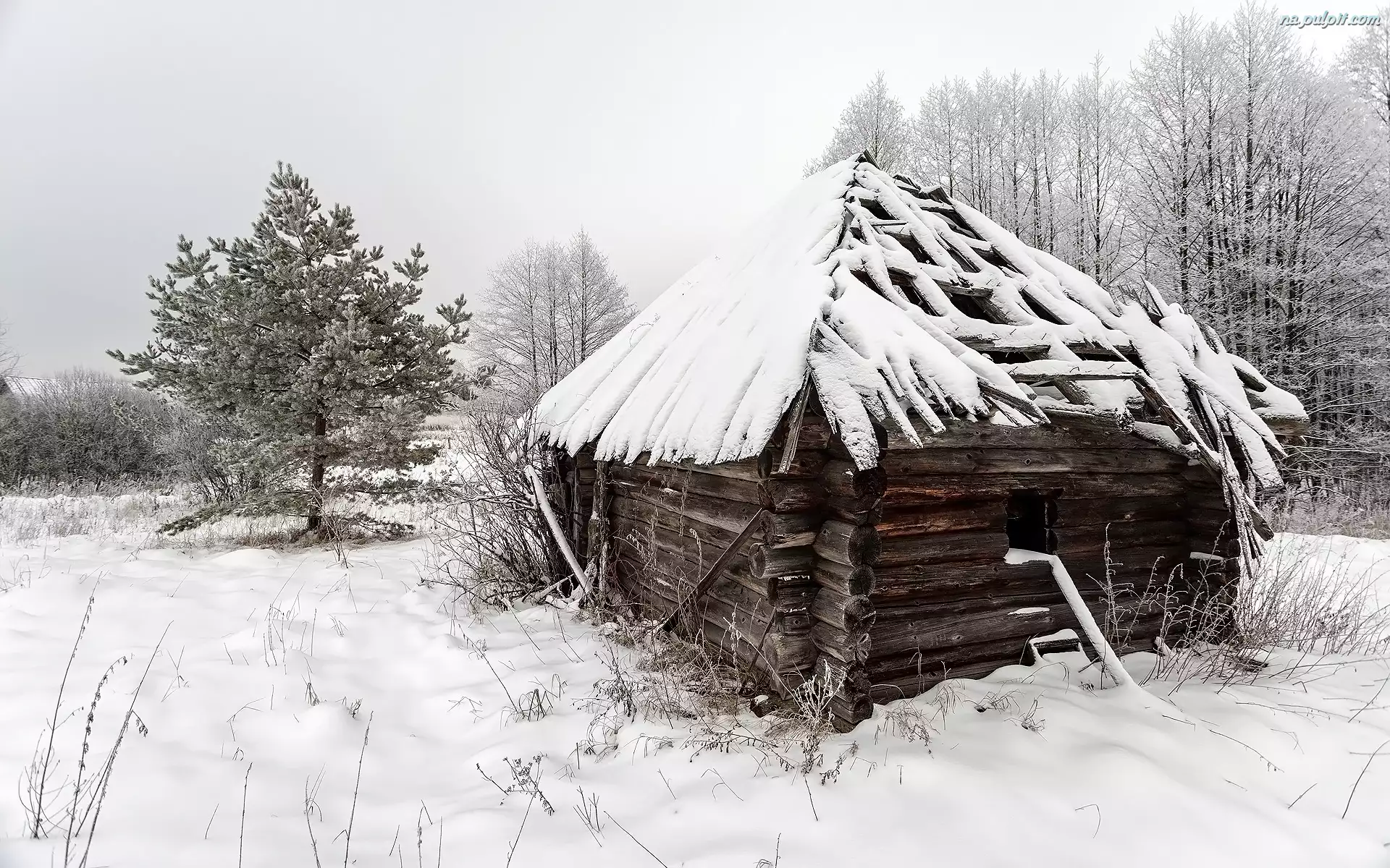 Śnieg, Zima, Drewniana, Domek, Drzewa, Szopa