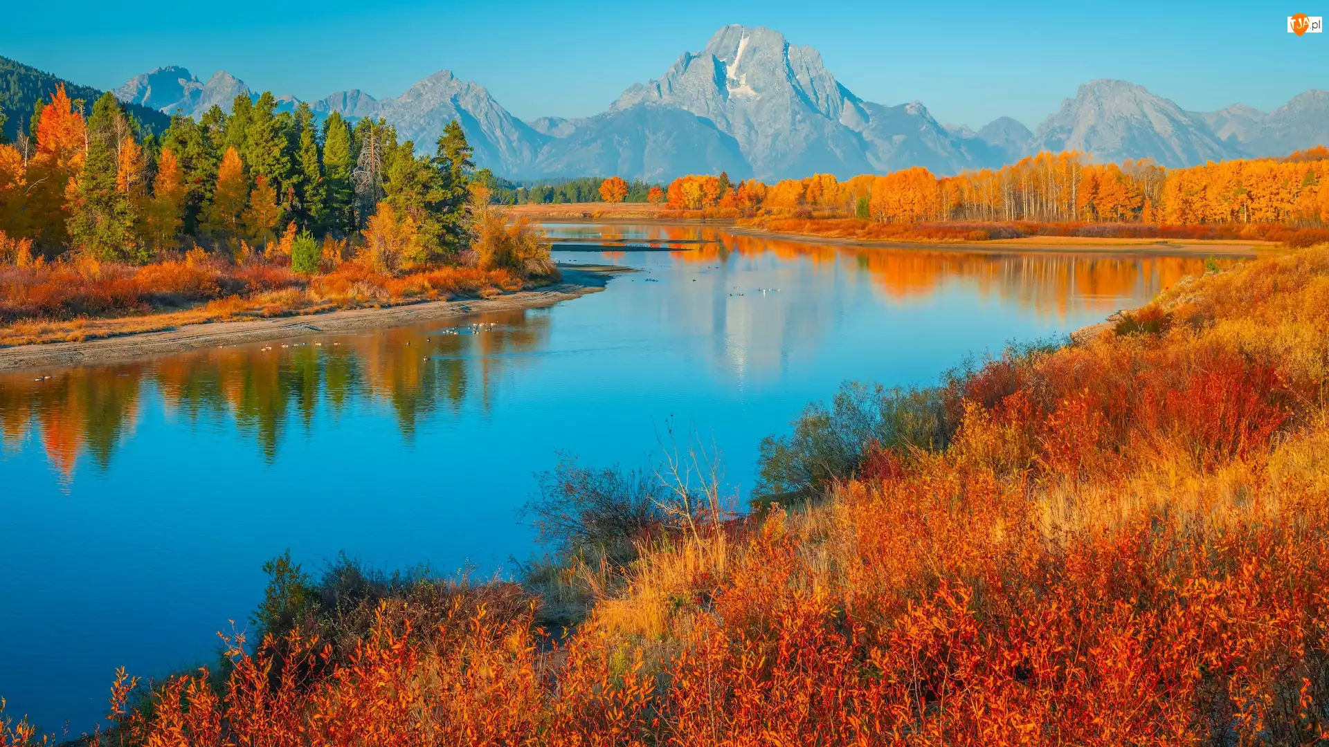 Stany Zjednoczone, Trawa, Jesień, Drzewa, Rzeka, Park Narodowy Grand Teton, Góry, Snake River, Teton Range, Stan Wyoming