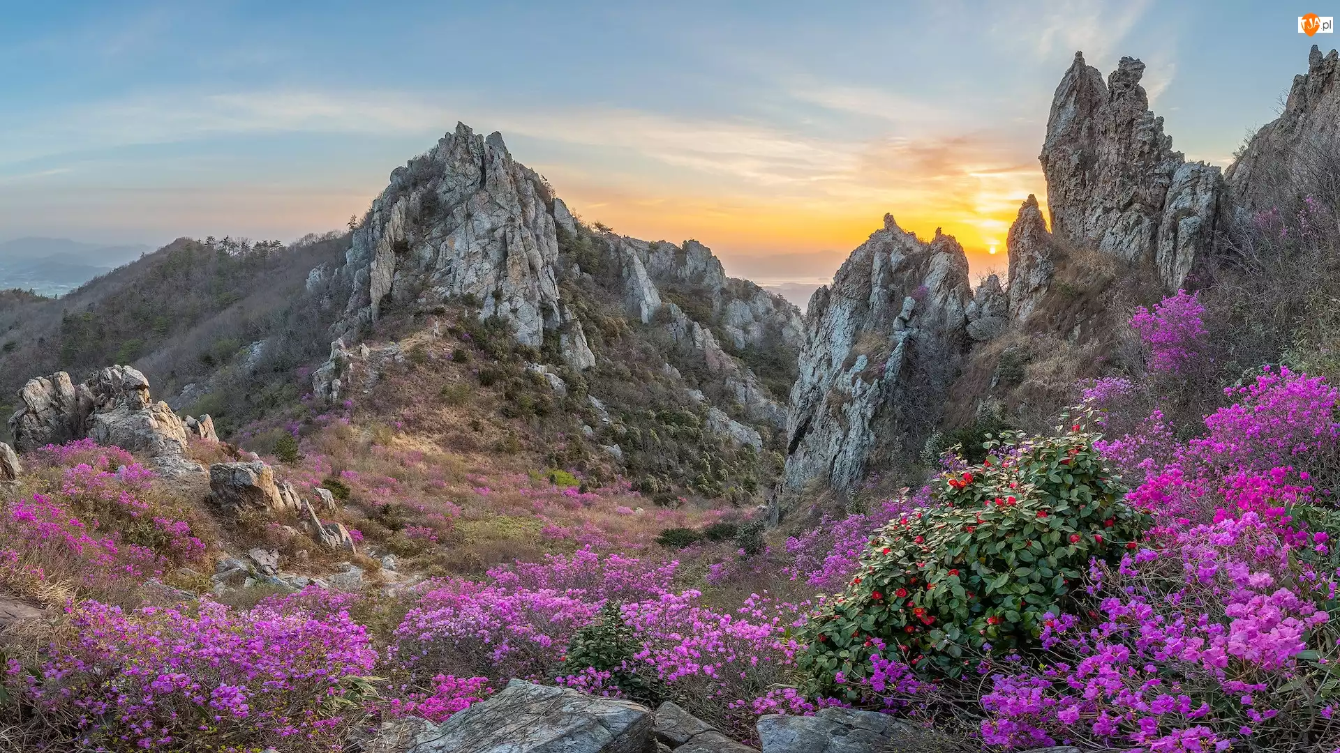 Kwiaty, Korea Południowa, Góry Jujaksan, Skały