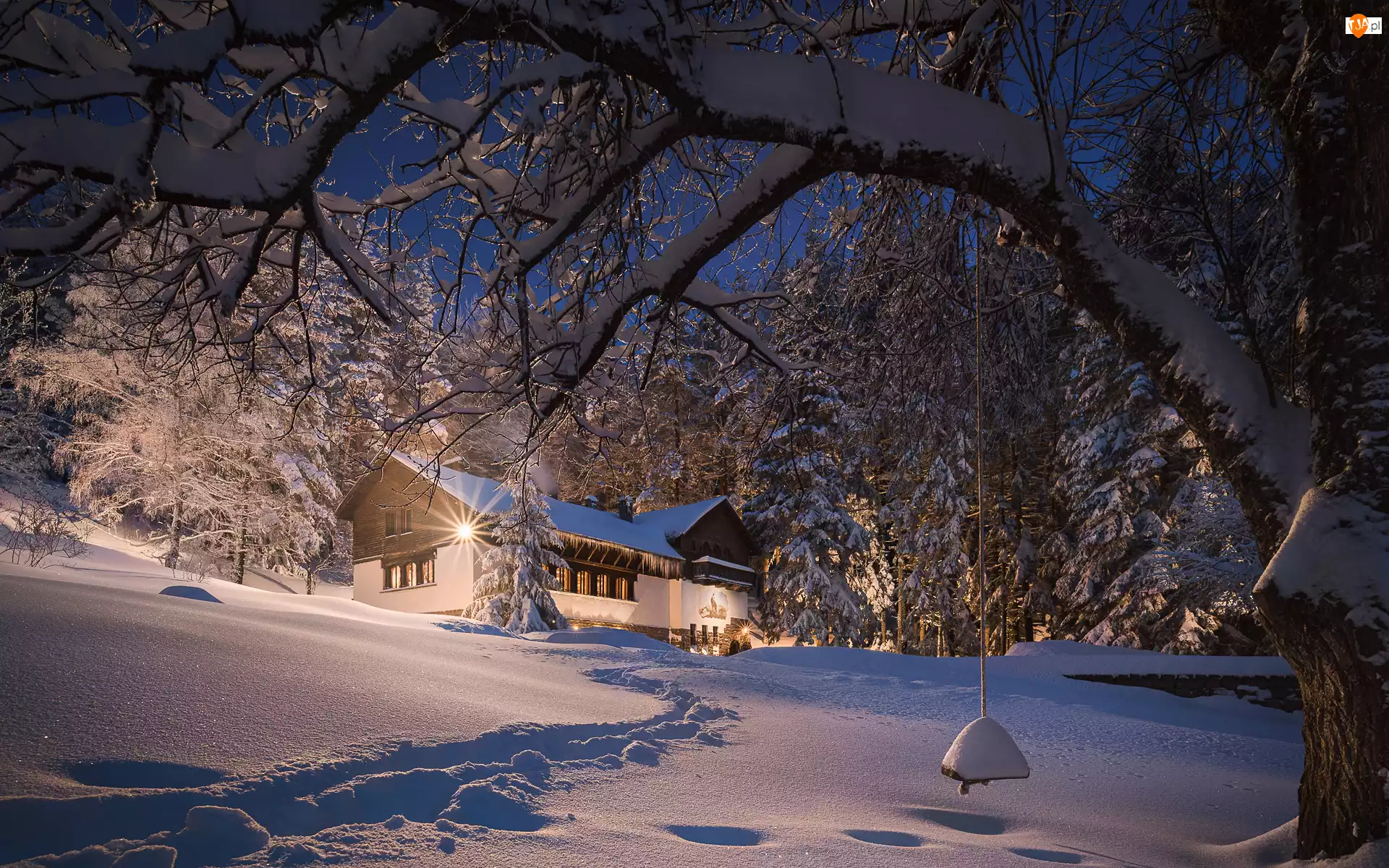 Drzewa, Dom, Śnieg, Zima, Oświetlony