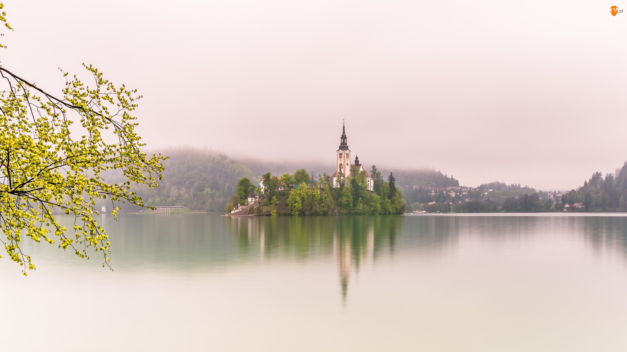 Jezioro, Bled, Gałęzie, Słowenia, Kościół Zwiastowania Marii Panny, Blejski Otok, Wyspa
