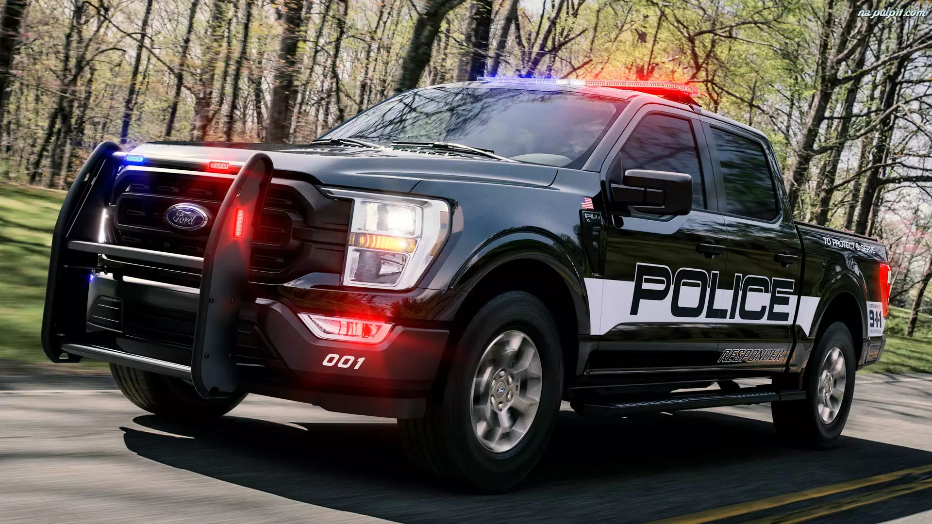 Policyjny, Ford F-150