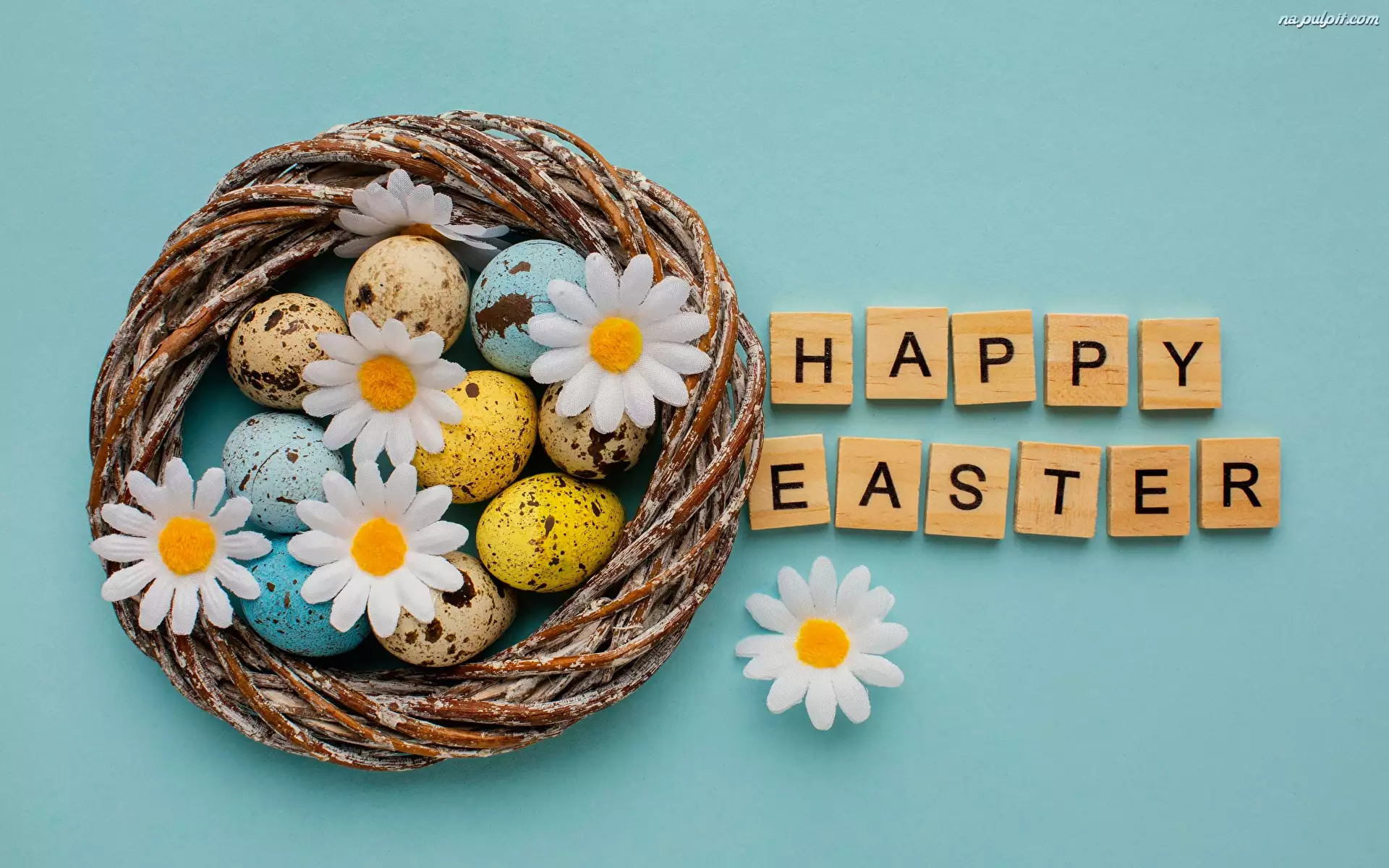 Happy Easter, Wielkanoc, Życzenia, Kwiaty, Gniazdo, Napis, Stokrotki, Pisanki