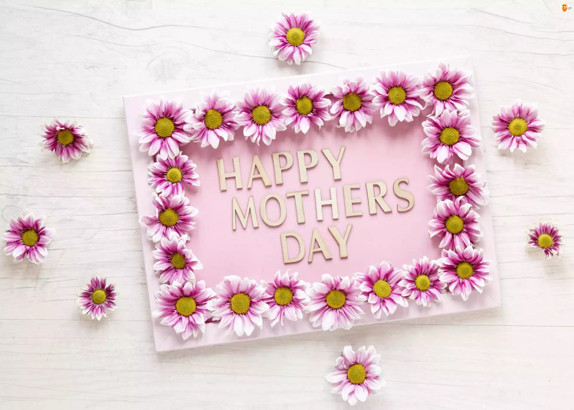 Napis, Kwiaty, Ramka, Dzień Matki, Happy Mothers Day