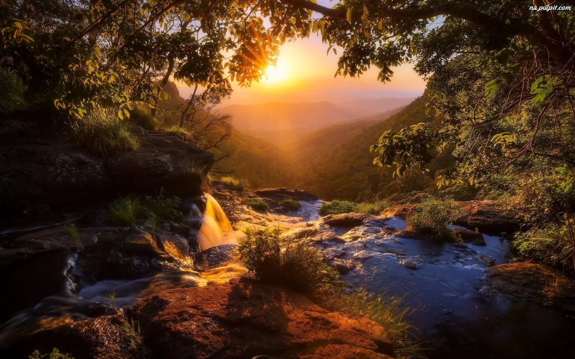 Rzeka, Zachód słońca, Wzgórza, Góry, Queensland, Drzewa, Toolona Creek, Australia, McPherson Range, Park Narodowy Lamington, Roślinność