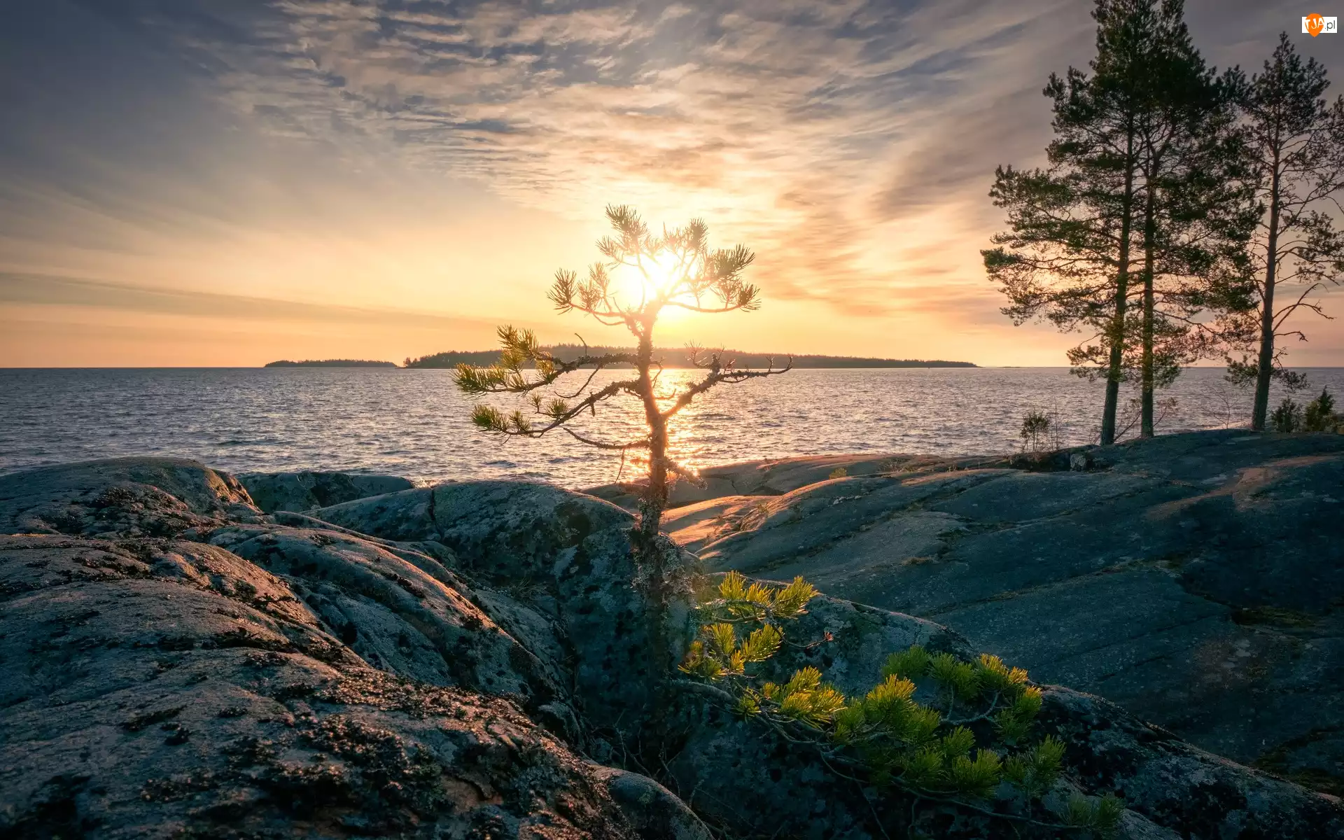 Jezioro Ładoga, Skały, Rosja, Zachód słońca, Karelia, Sosna, Drzewa