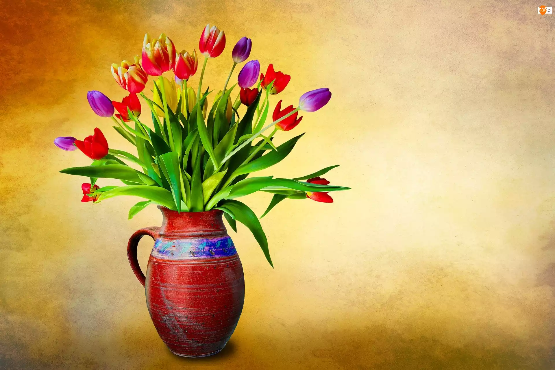 Dzbanek, Kwiaty, Kolorowe, Tulipany