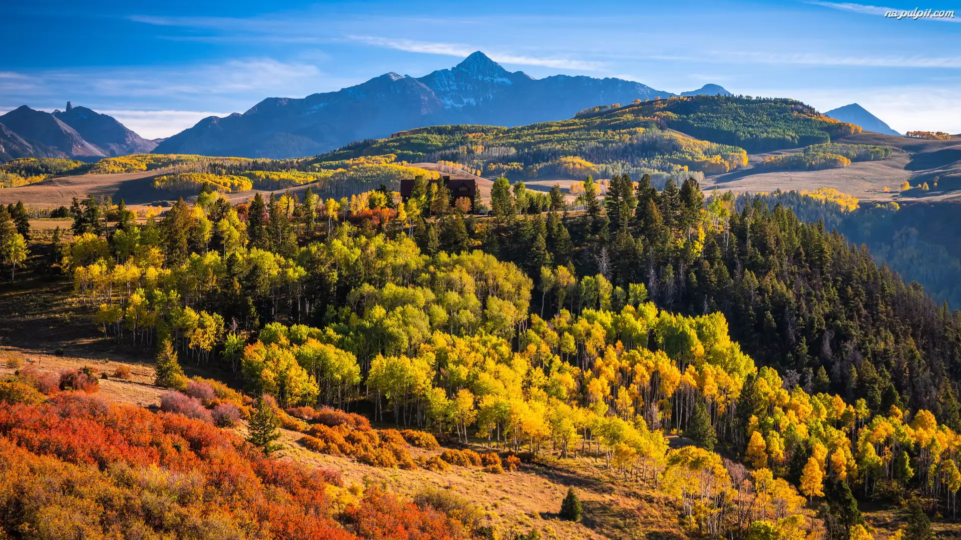 Góry, Góra, Jesień, Wilson Peak, Stan Kolorado, Góry, San Juan Mountains, Stany Zjednoczone, Las, Telluride, Drzewa