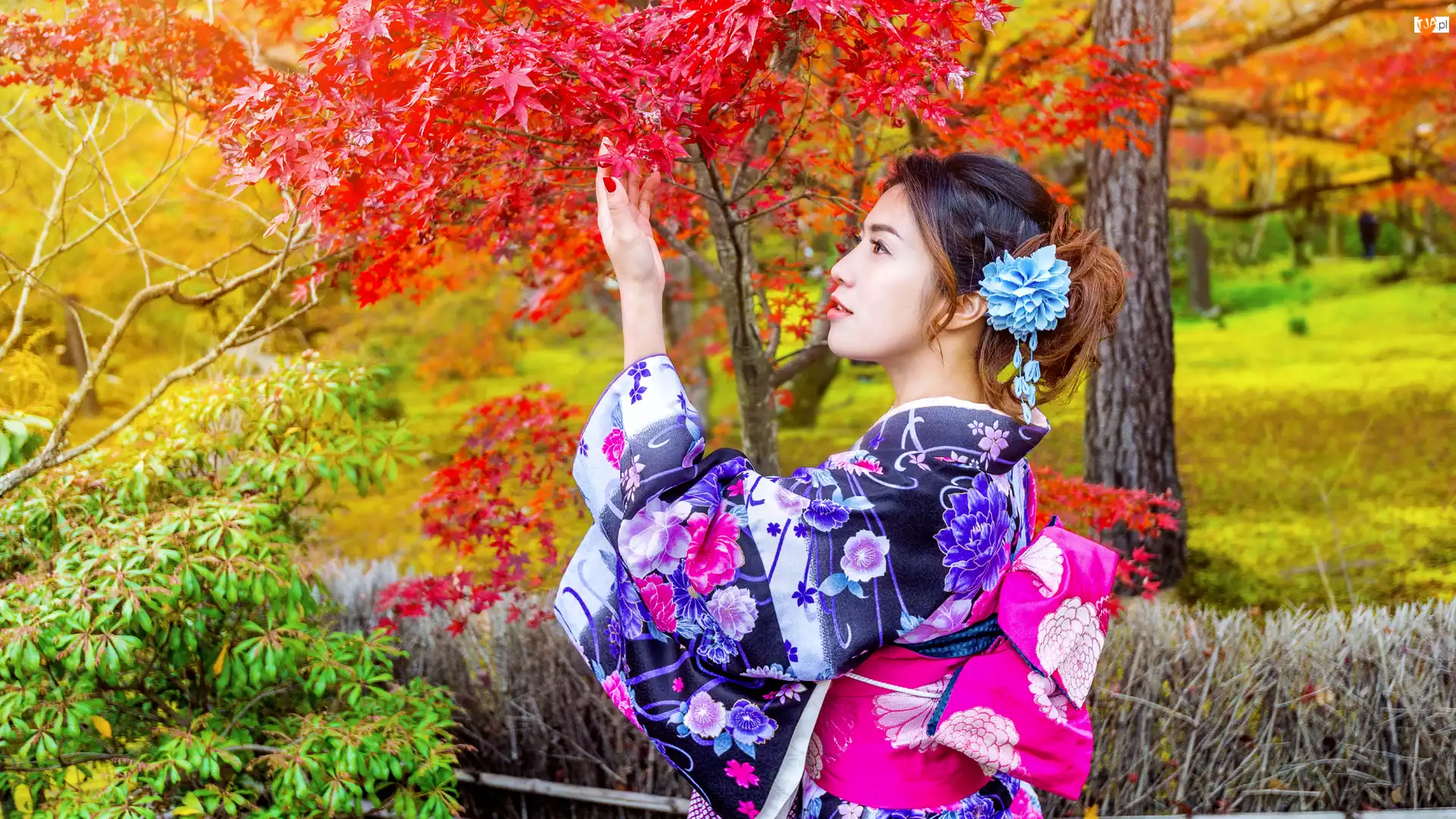 Kobieta, Azjatka, Park, Jesień, Kimono, Drzewa