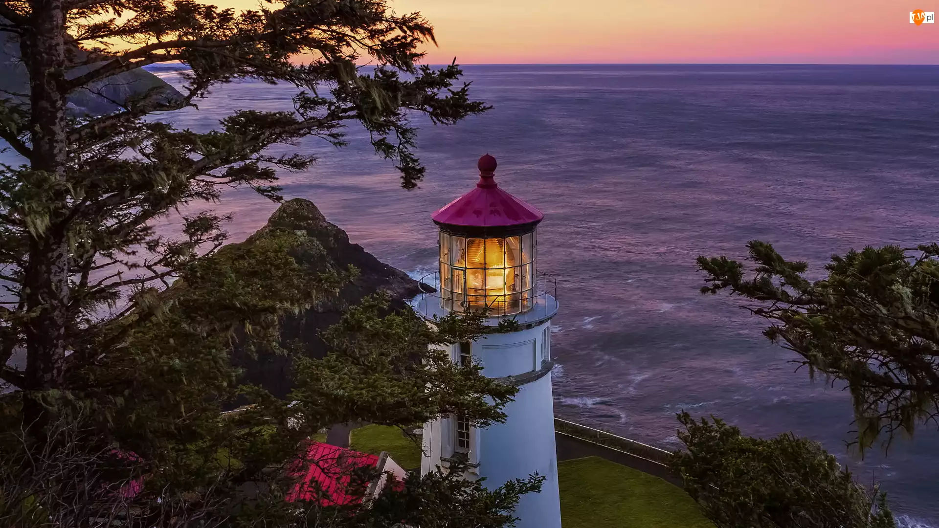 Heceta Head Lighthouse, Latarnia morska, Drzewa, Stany Zjednoczone, Morze, Stan Oregon