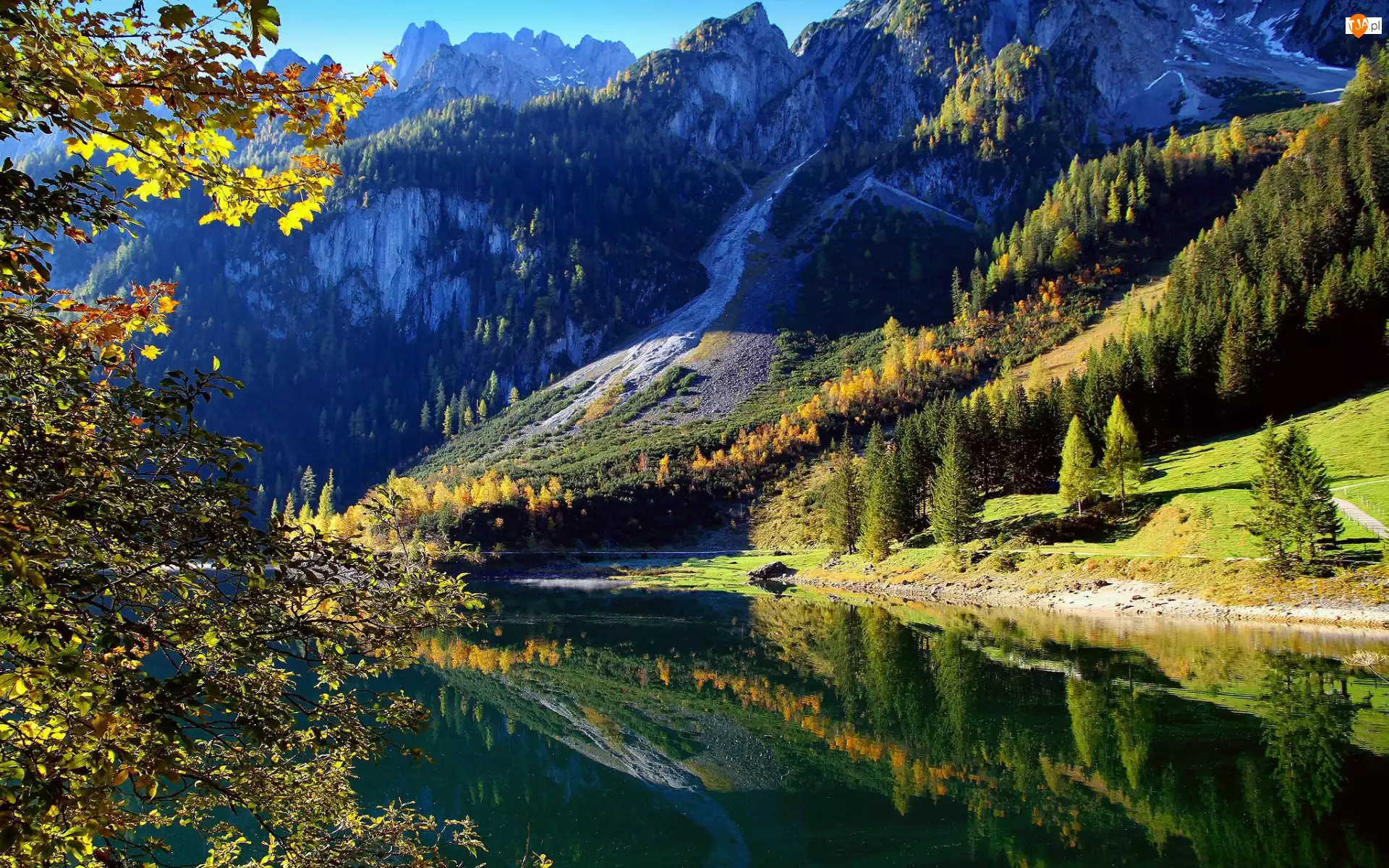 Drzewa, Austria, Góry, Las, Jezioro Gosau