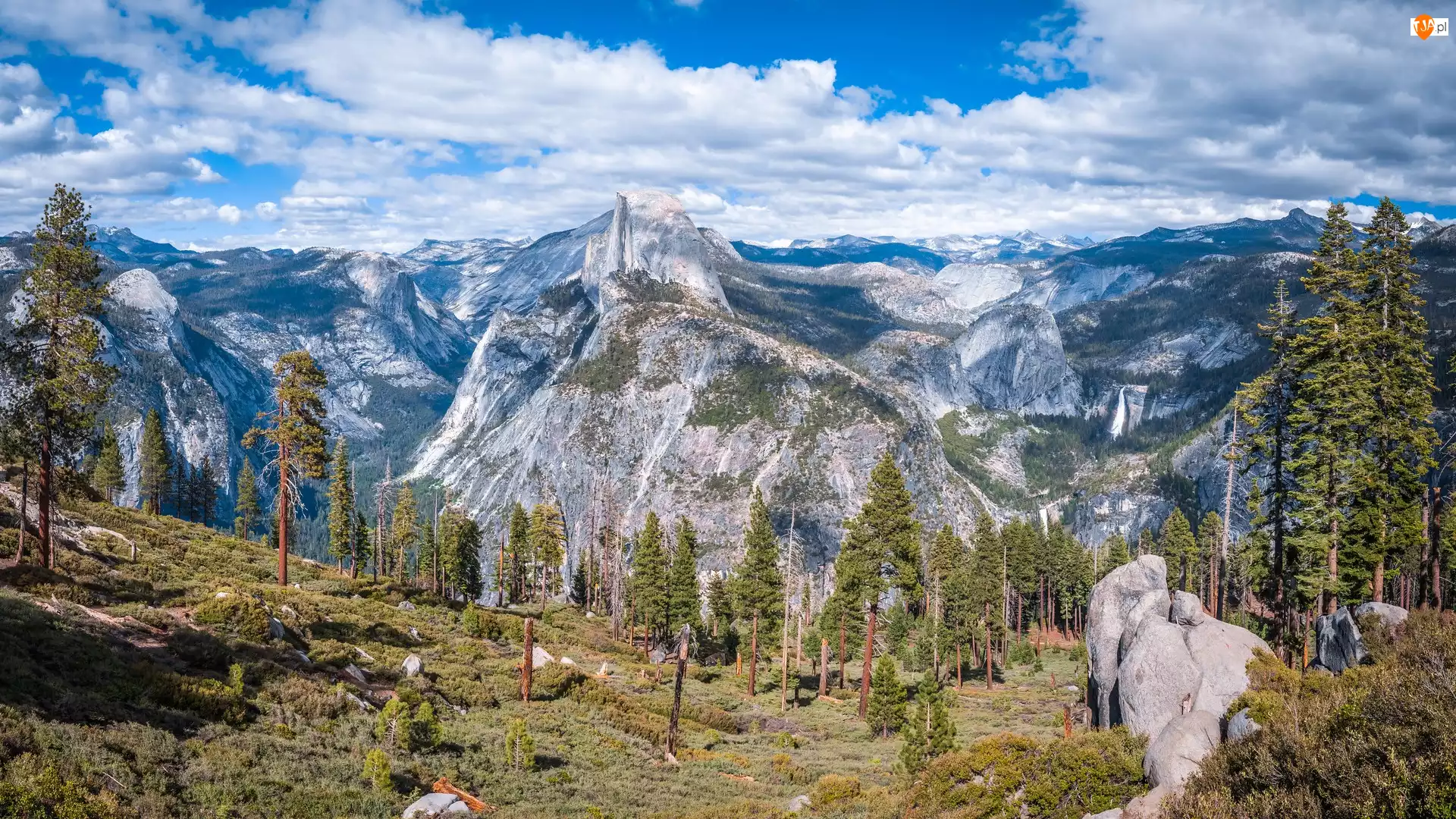 Sosny, Punkt widokowy Glacier Point, Drzewa, Stany Zjednoczone, Park Narodowy Yosemite, Widok, Yosemite Valley, Szczyt Half Dome, Dolina, Góry, Sierra Nevada, Kalifornia
