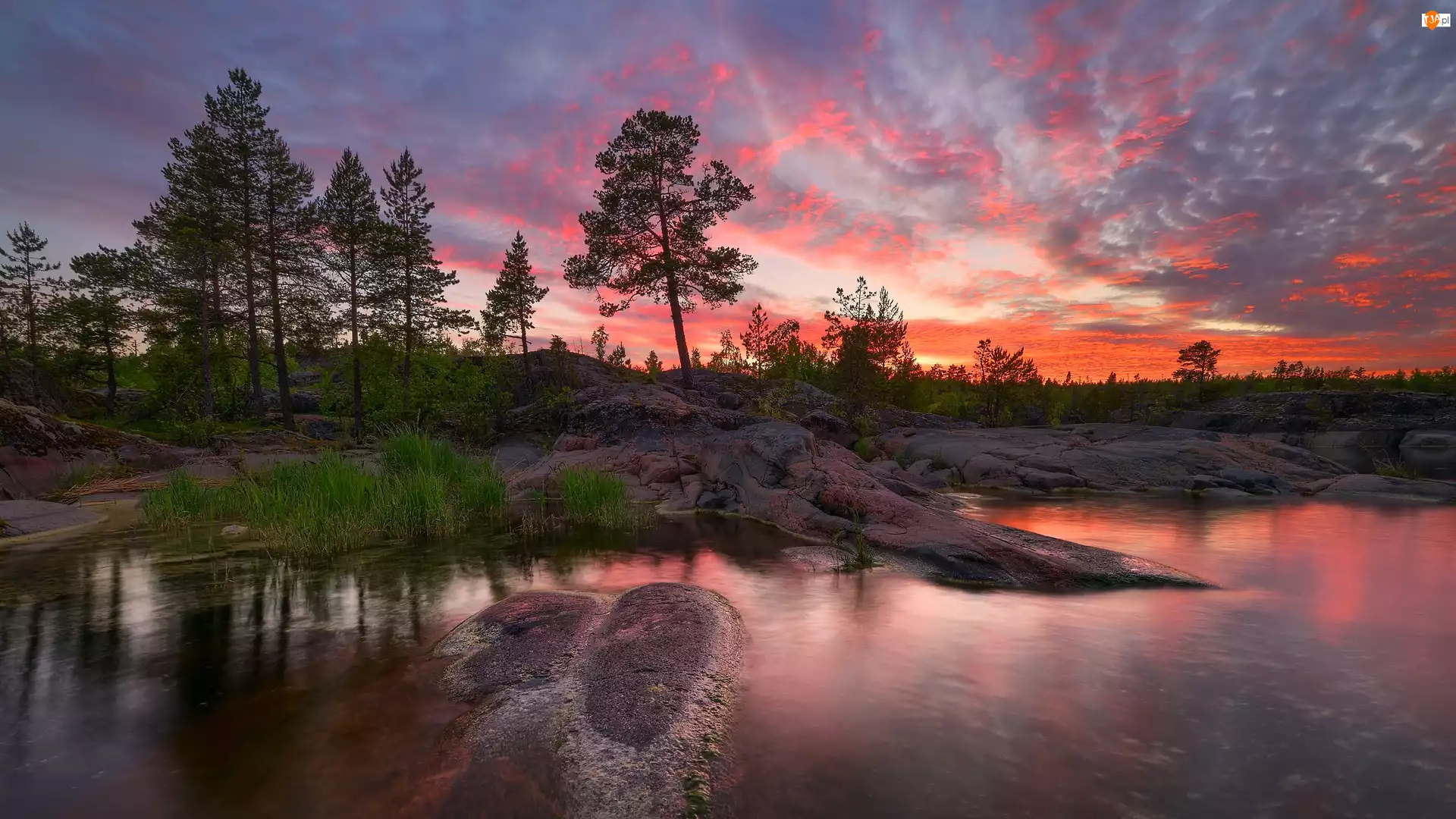Rosja, Drzewa, Karelia, Chmury, Zachód słońca, Skały, Kolorowe, Jezioro Ładoga, Niebo