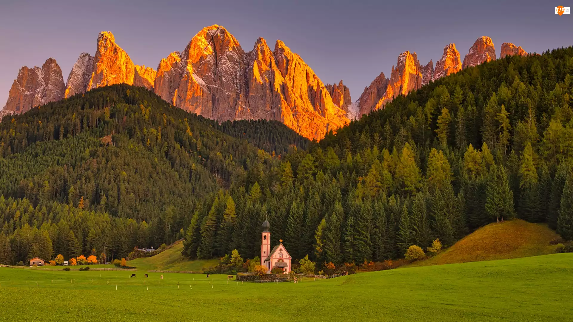 Dolomity, Wieś, Las, Santa Maddalena, Południowy Tyrol, Drzewa, Kościół św Jana, Włochy, Dolina Val di Funes, Góry, Łąka