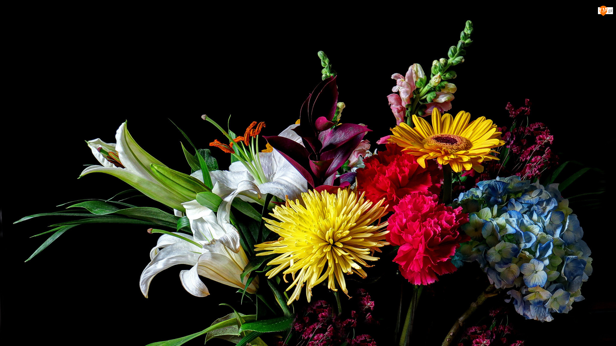 Kwiaty, Bukiet, Hortensje, Aster, Lilie, Gerbera