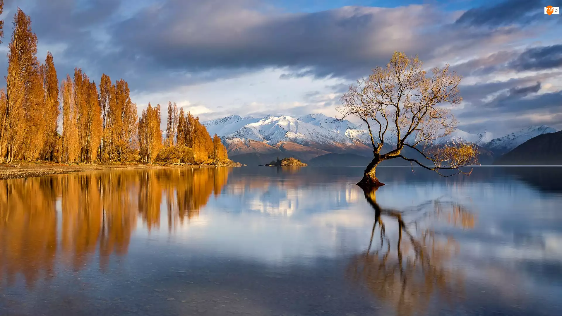 Drzewo, Jezioro Wanaka, Jesień, Nowa Zelandia, Góry, Chmury