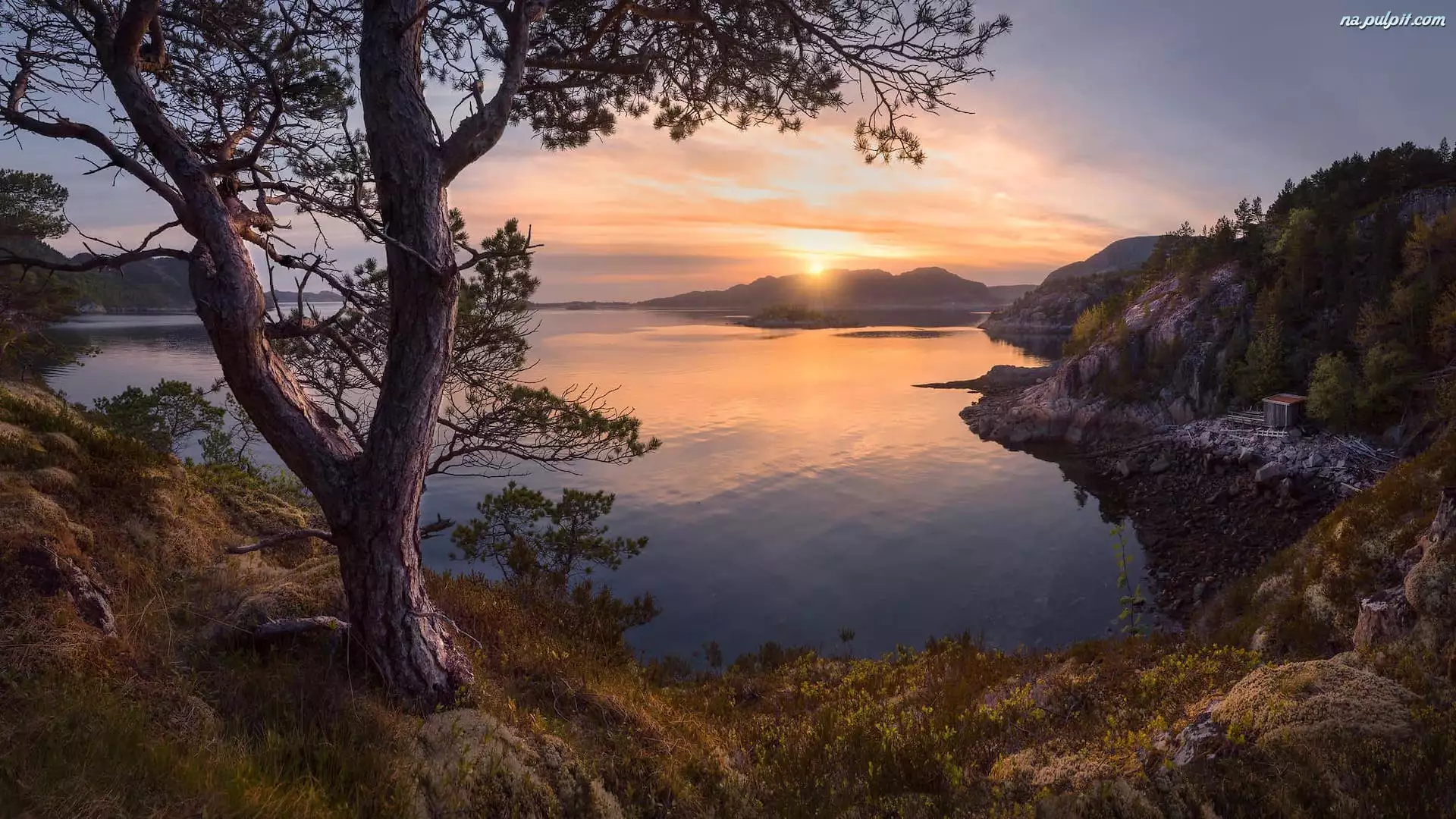 Zatoka, Wzgórza, Norwegia, Jezioro, Gmina Agdenes, Drzewo, Zachód słońca